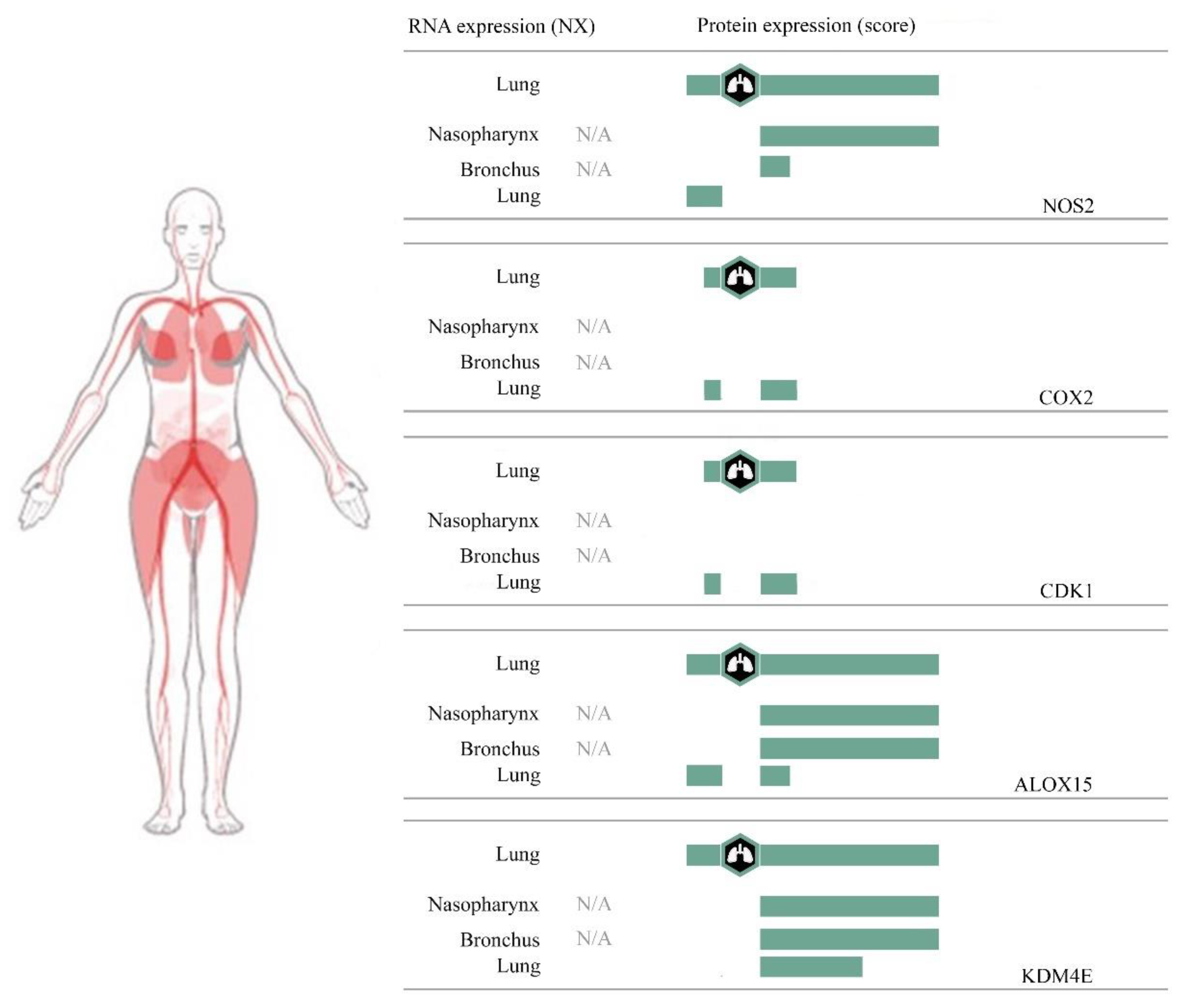 Processes 08 01468 g005
