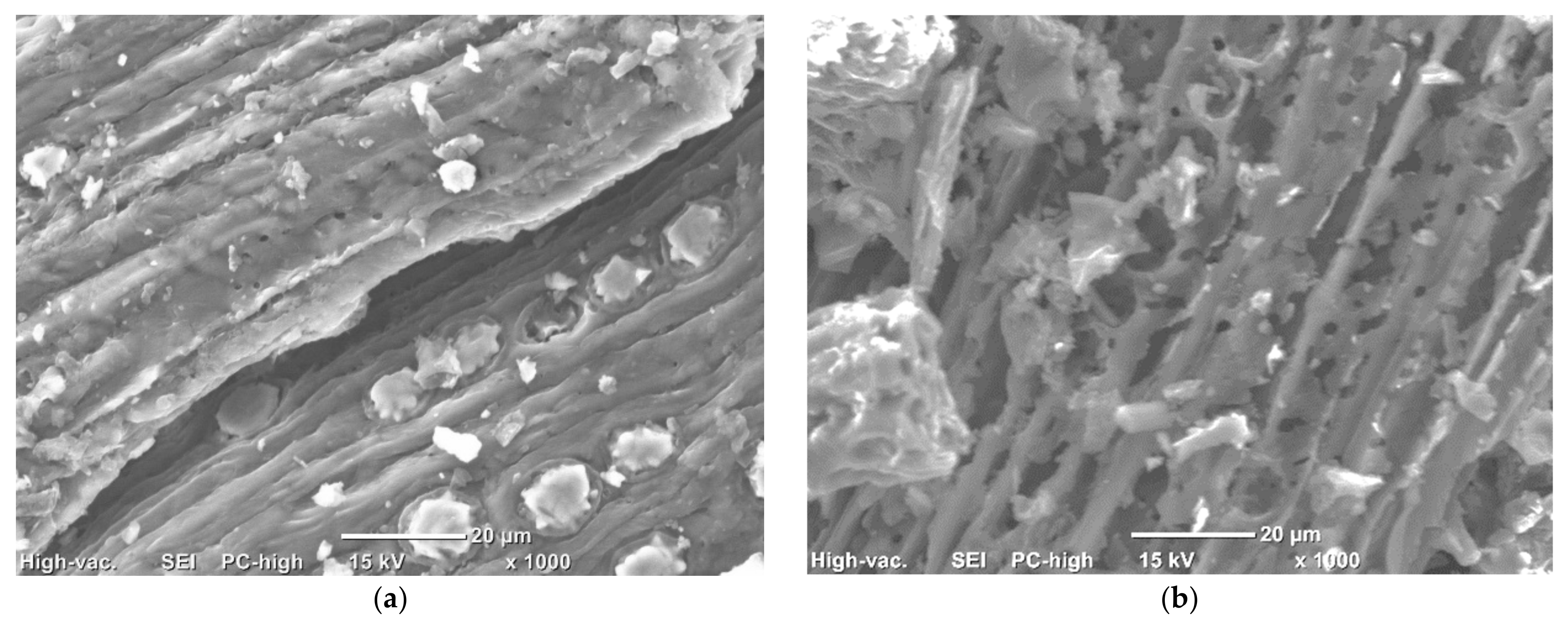 Processes 09 00149 g003