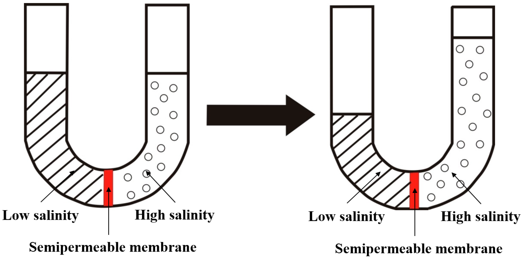 Processes 10 00228 g003