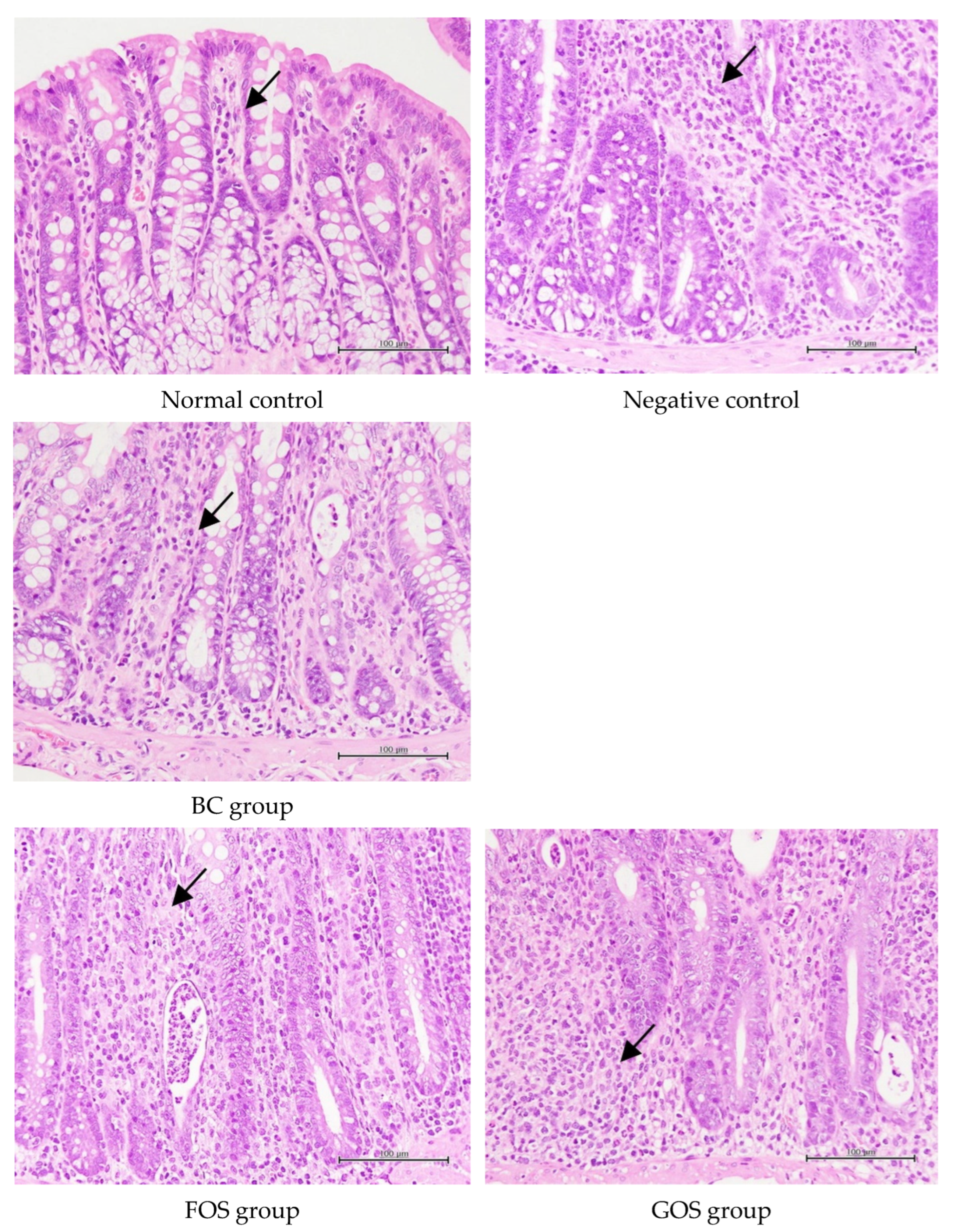 Processes 10 02123 g006a