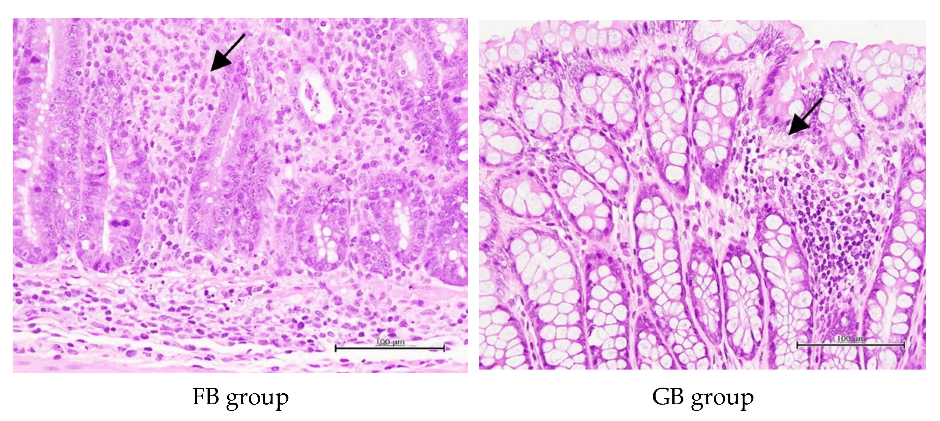 Processes 10 02123 g006b