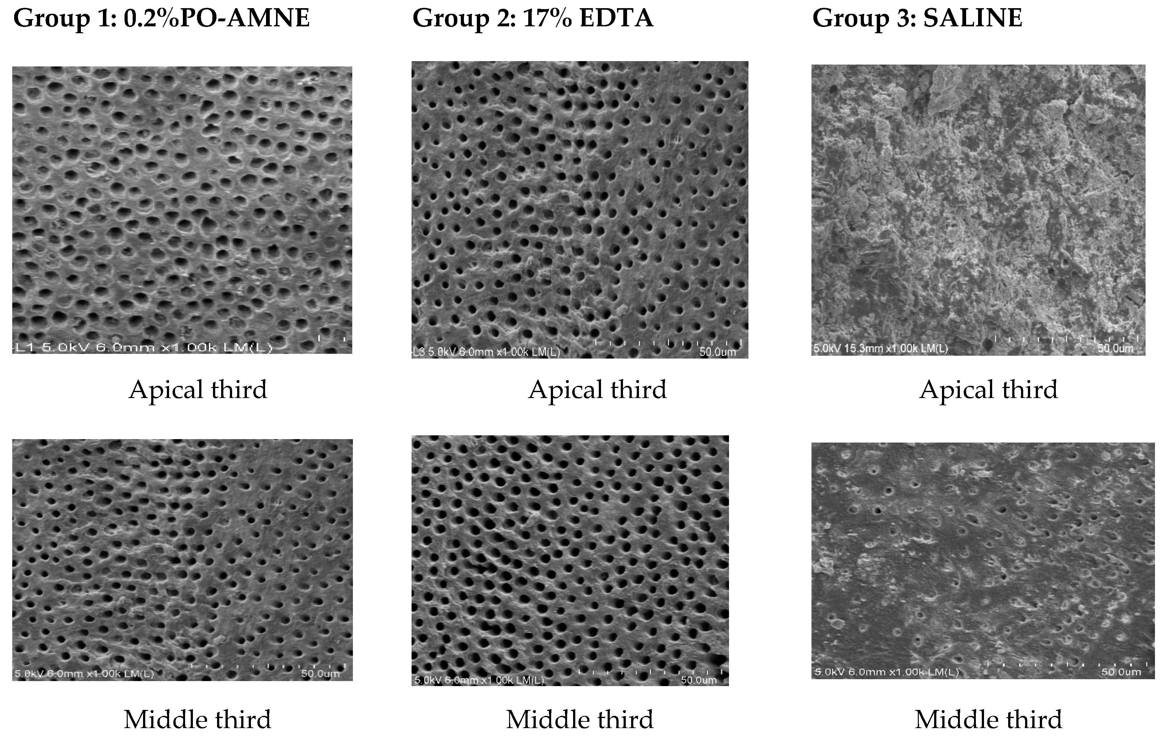 Processes 11 00798 g006a Processes 11 00798 g006a
