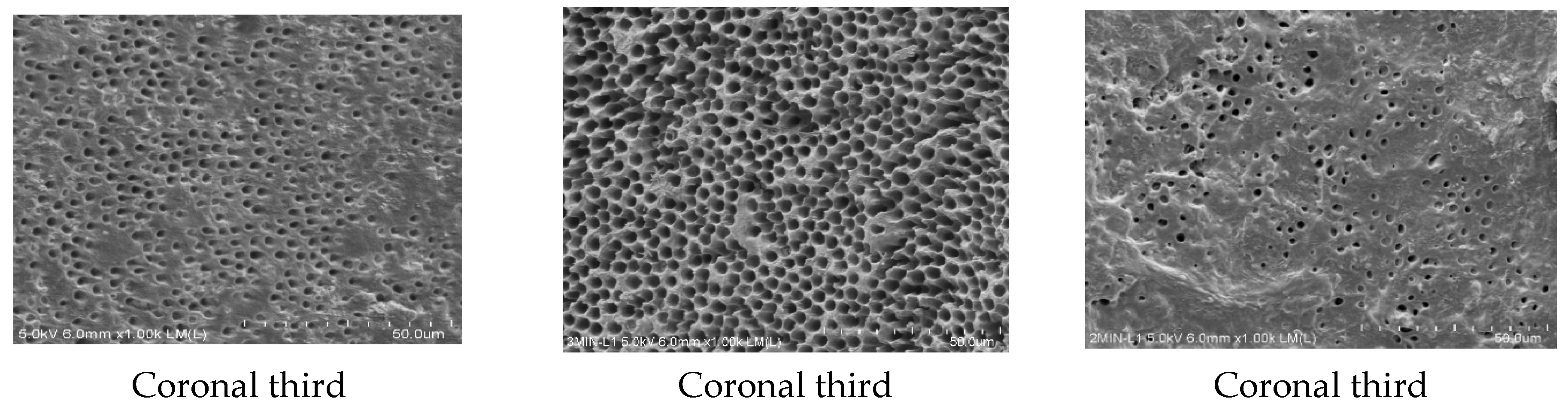Processes 11 00798 g006b Processes 11 00798 g006b