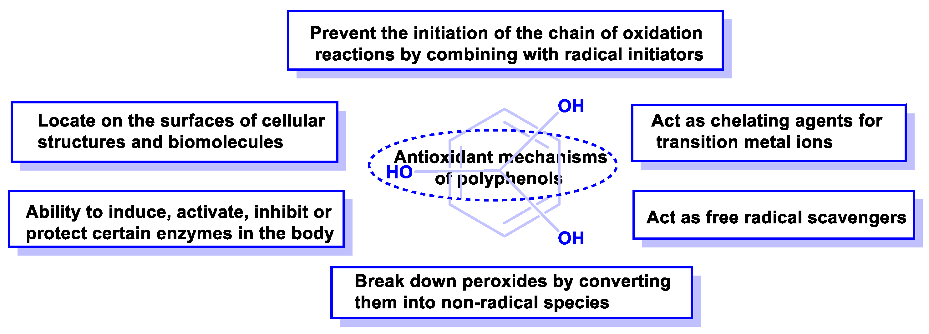 Processes Free Full Text Polyphenols As Antioxidant Pro Oxidant