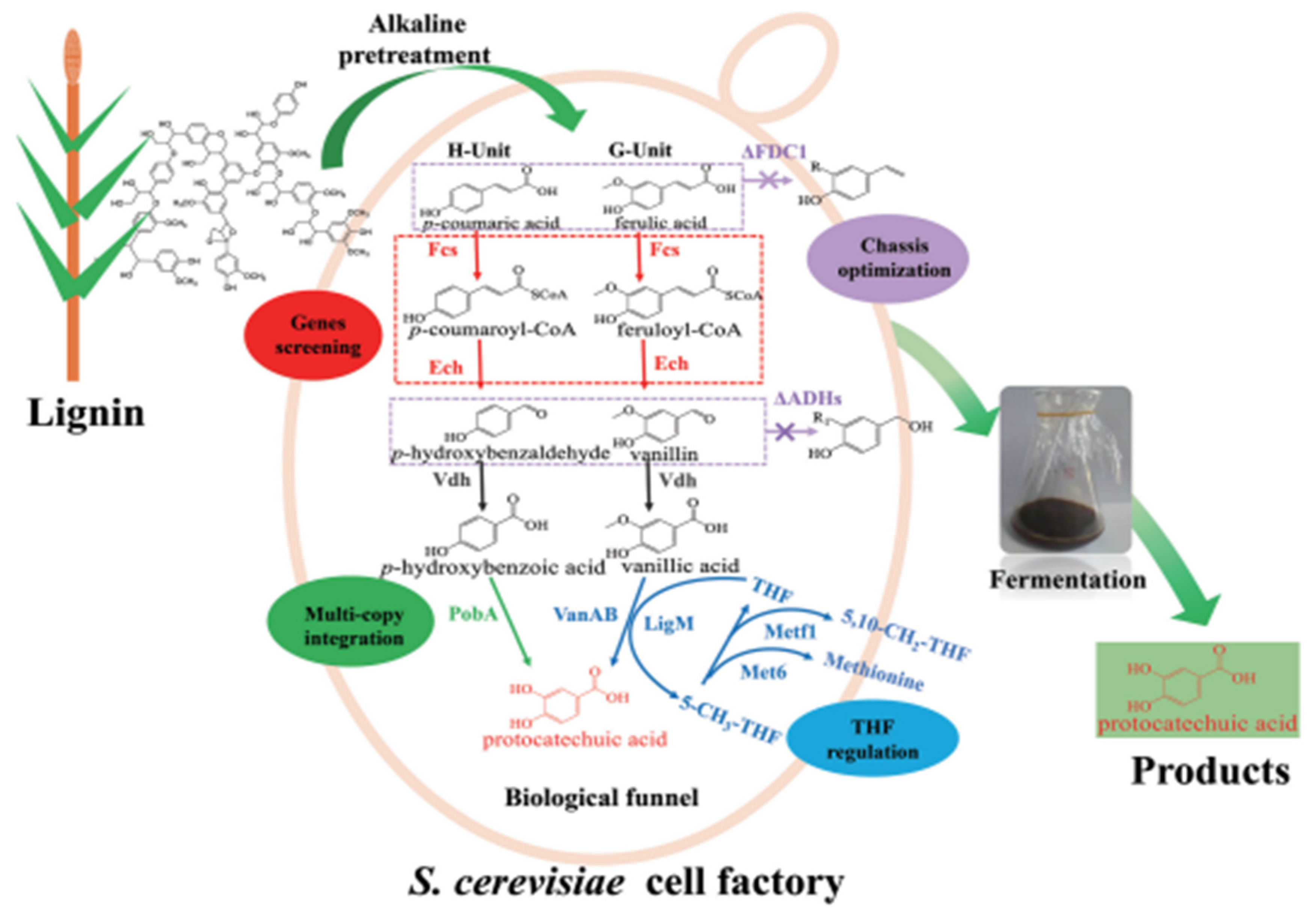 Processes 11 02912 g008