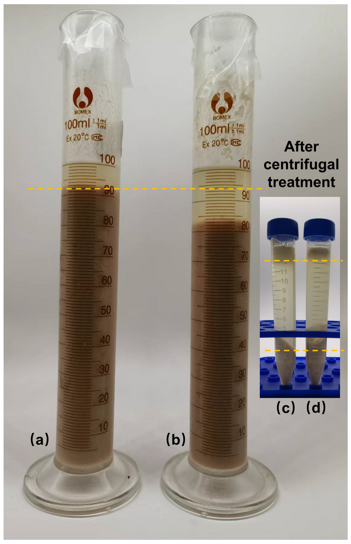 Processes 12 00300 g004