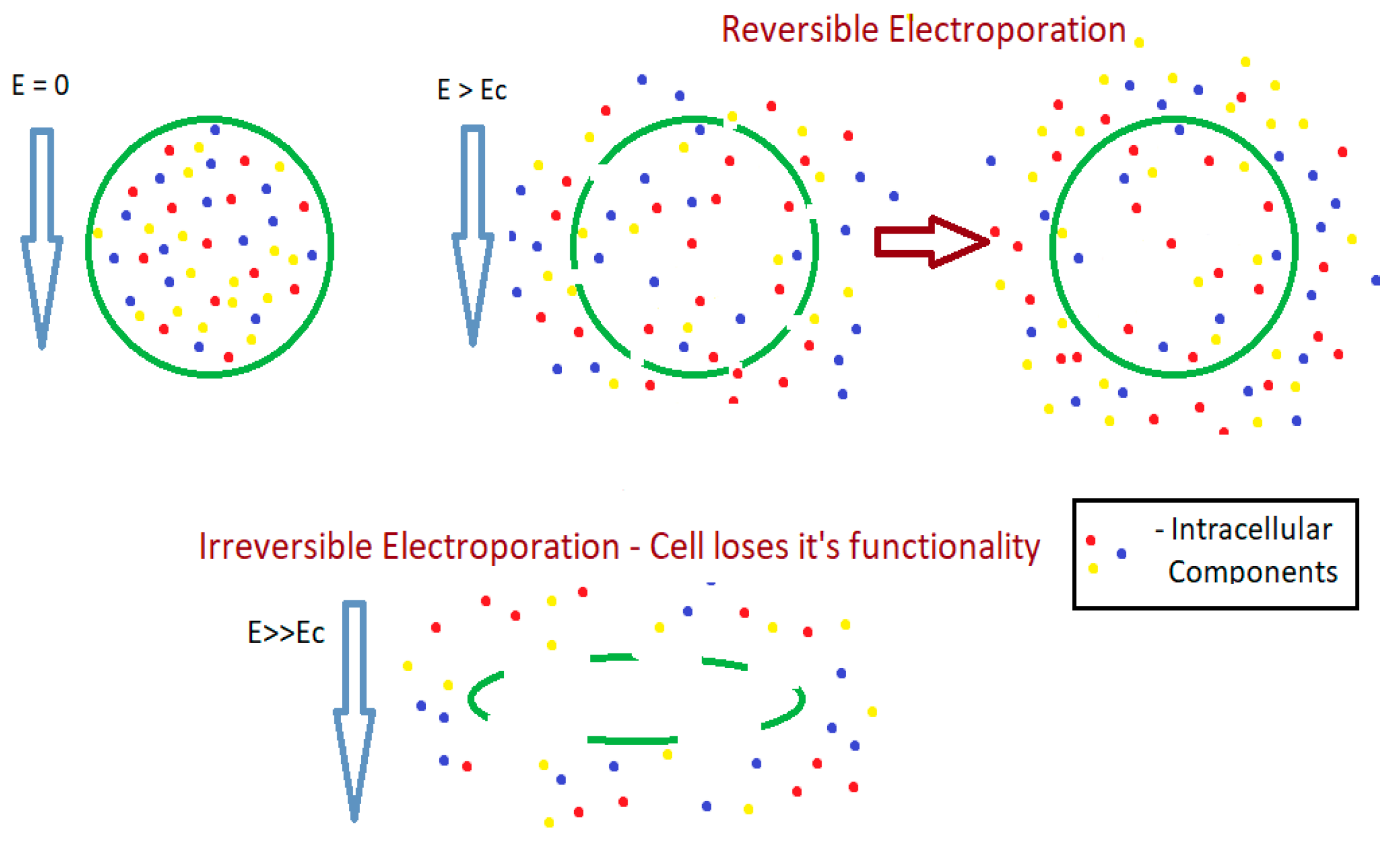 Processes 12 00342 g004