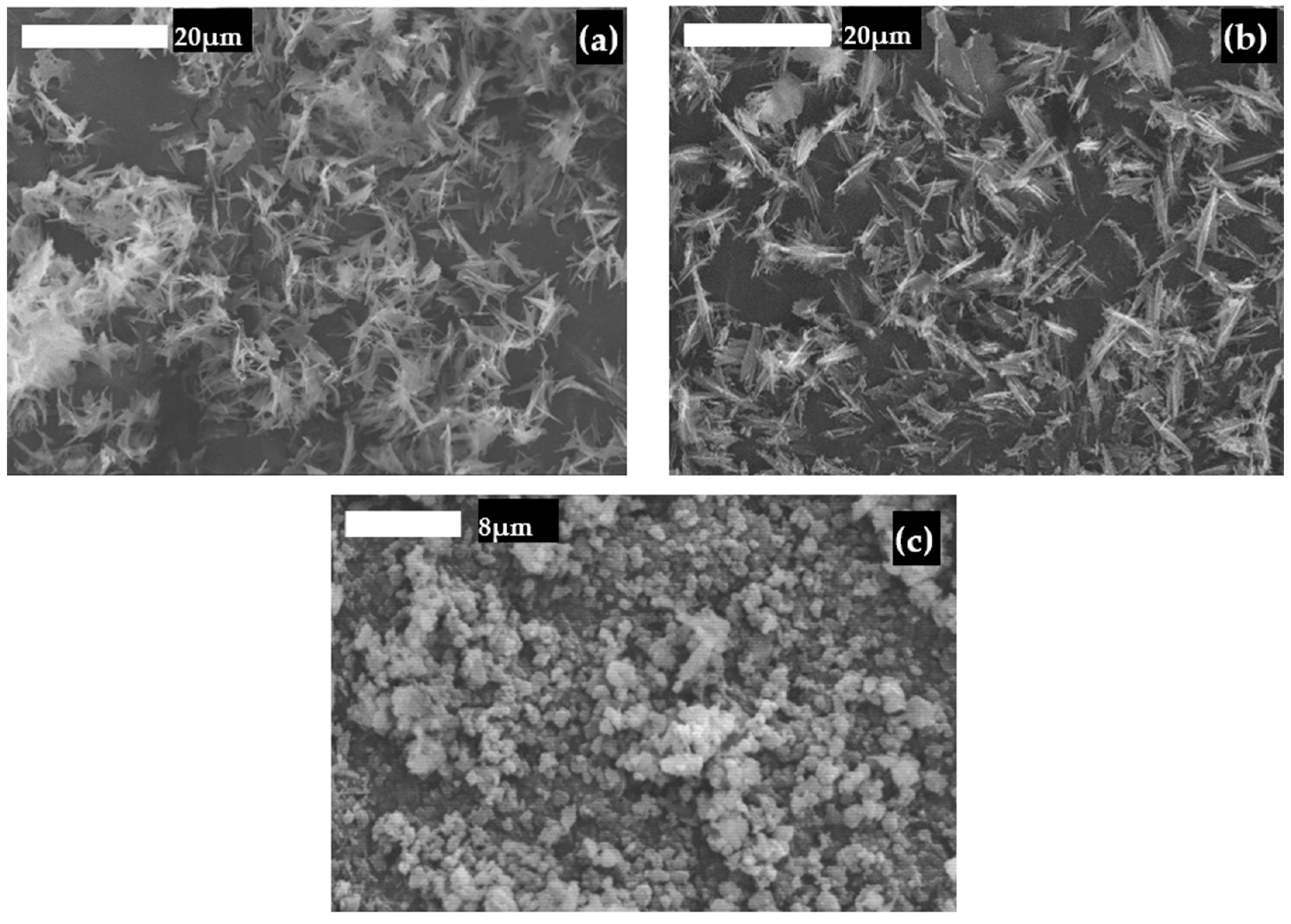Processes 12 00425 g003