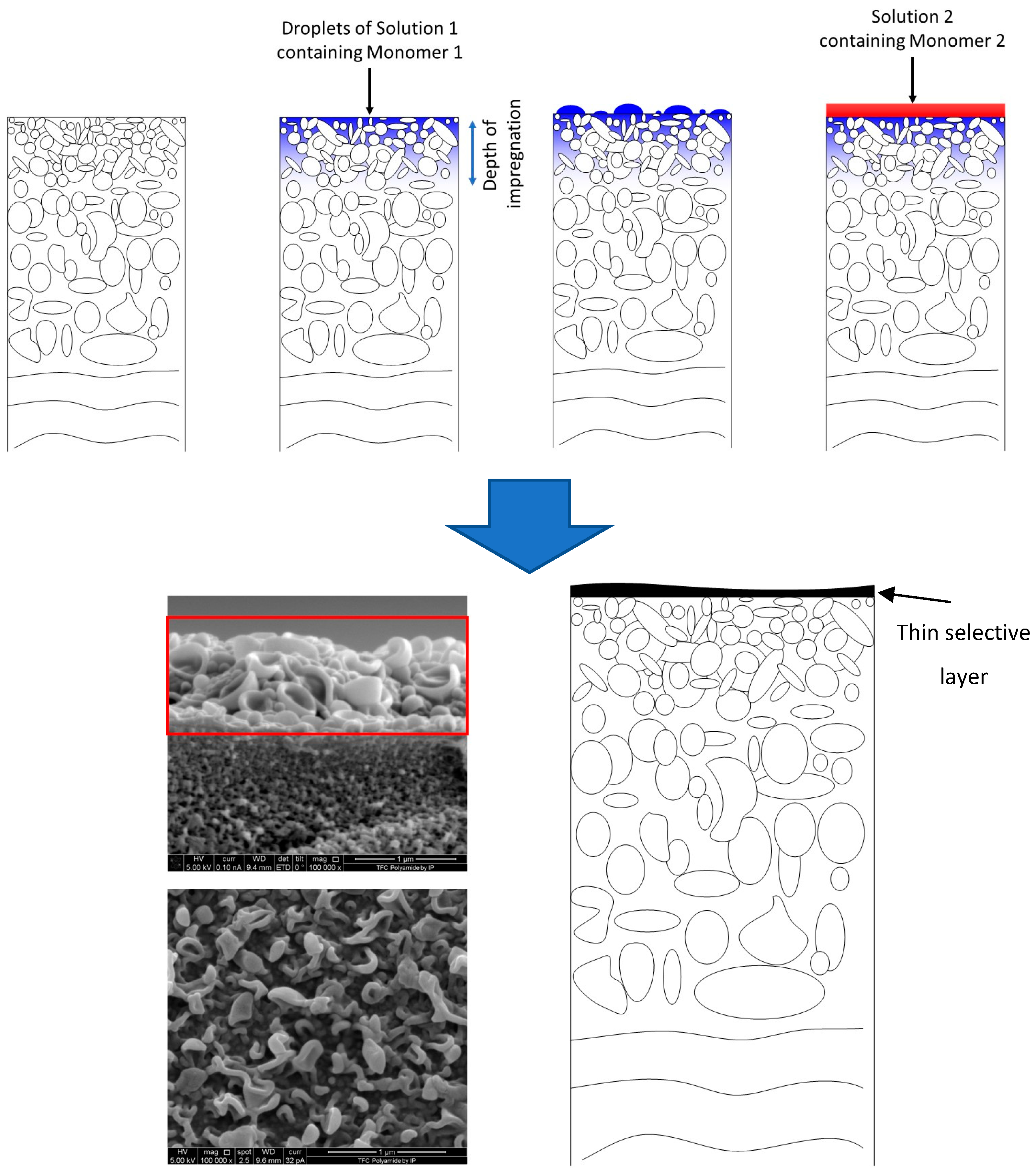 Processes 12 00563 g007