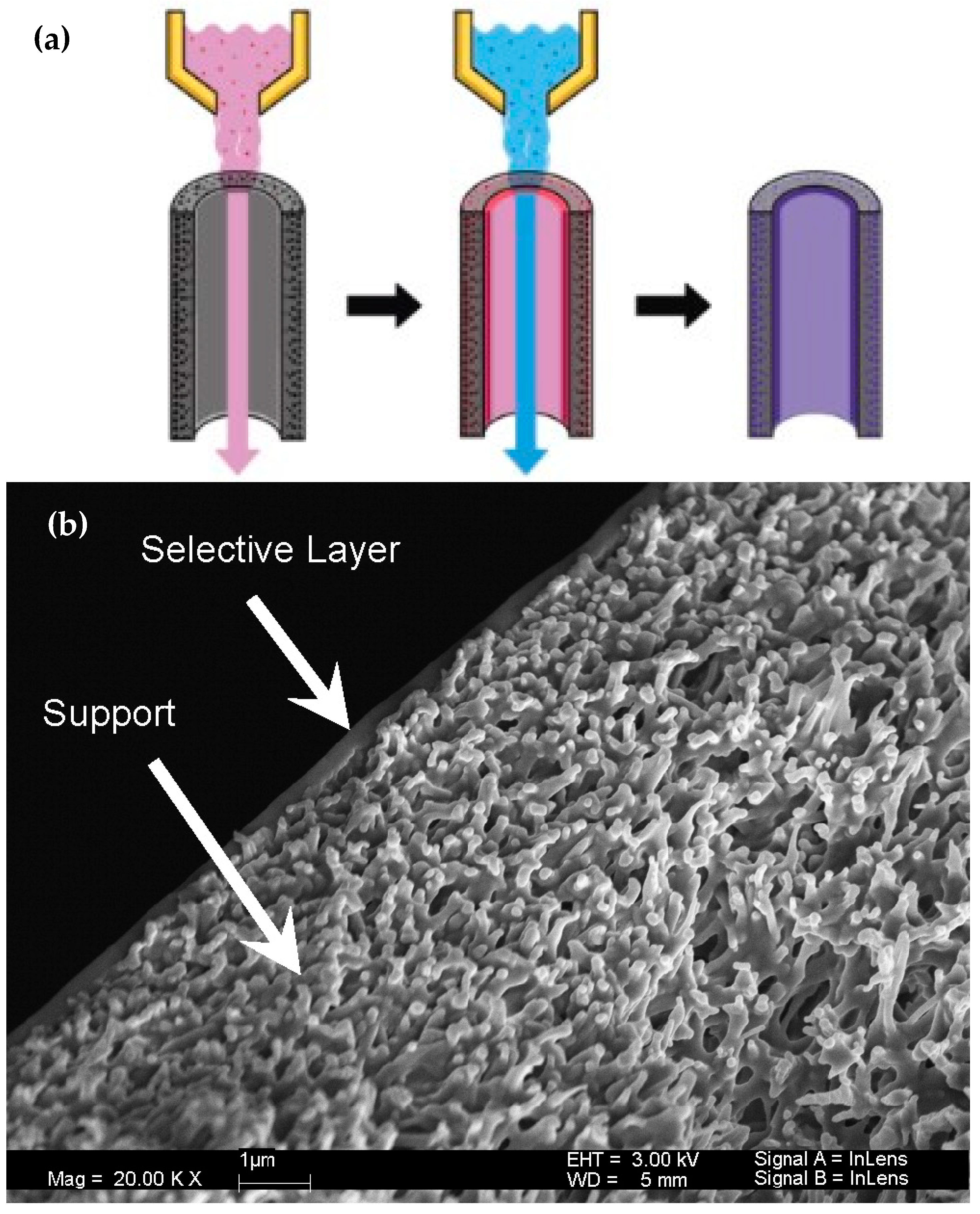 Processes 12 00563 g010