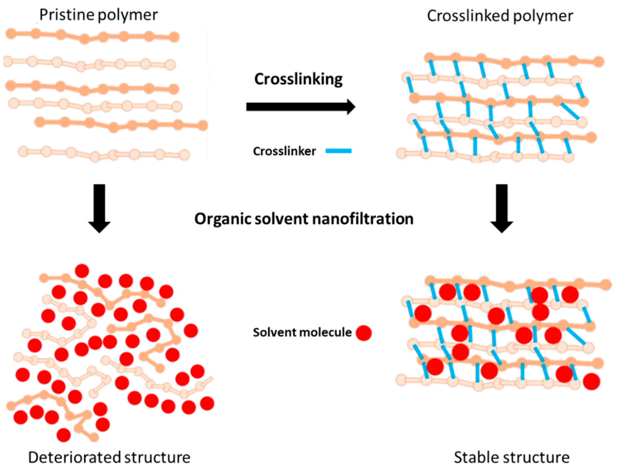 Processes 12 00563 g011