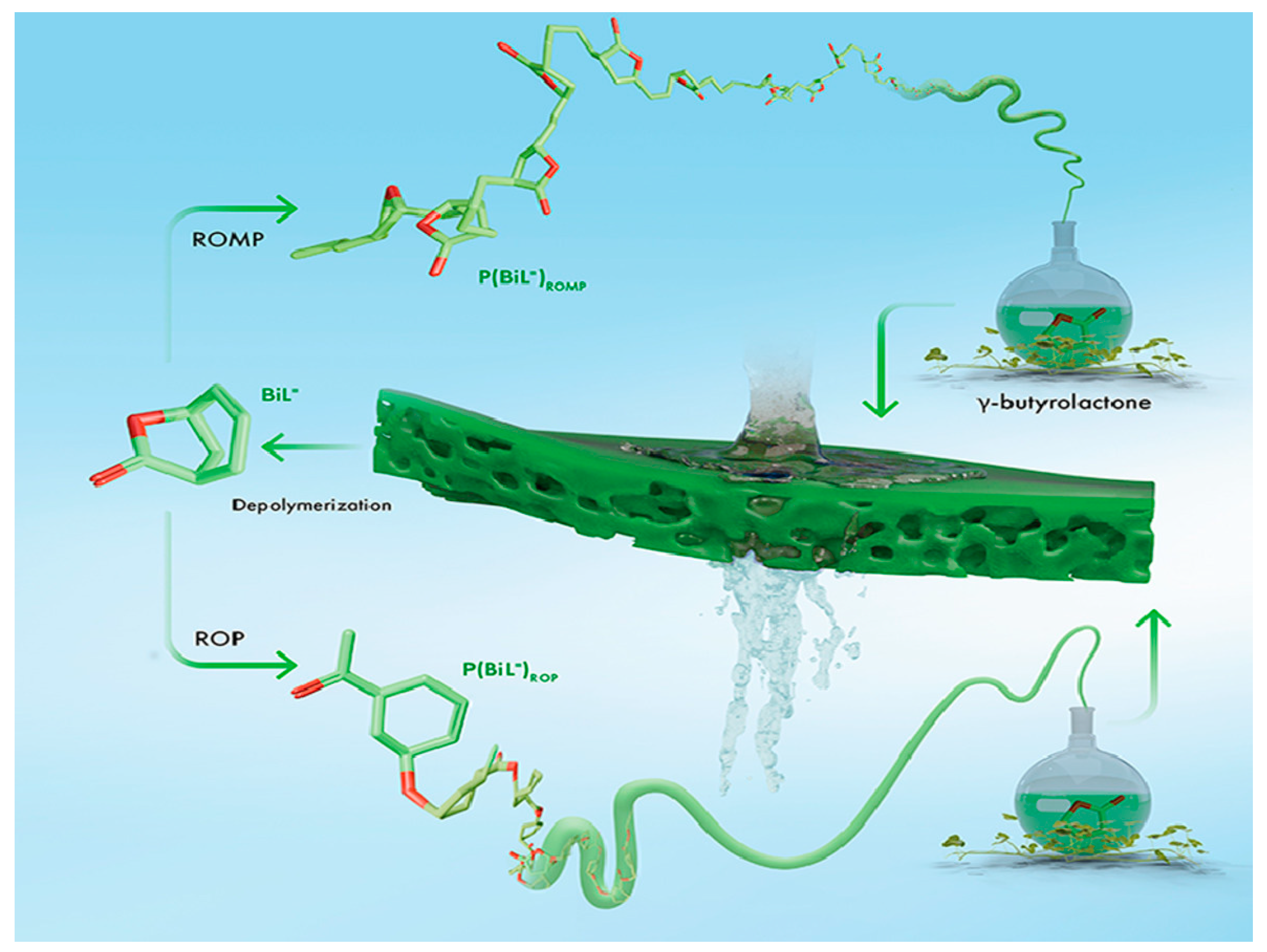 Processes 12 00563 g016