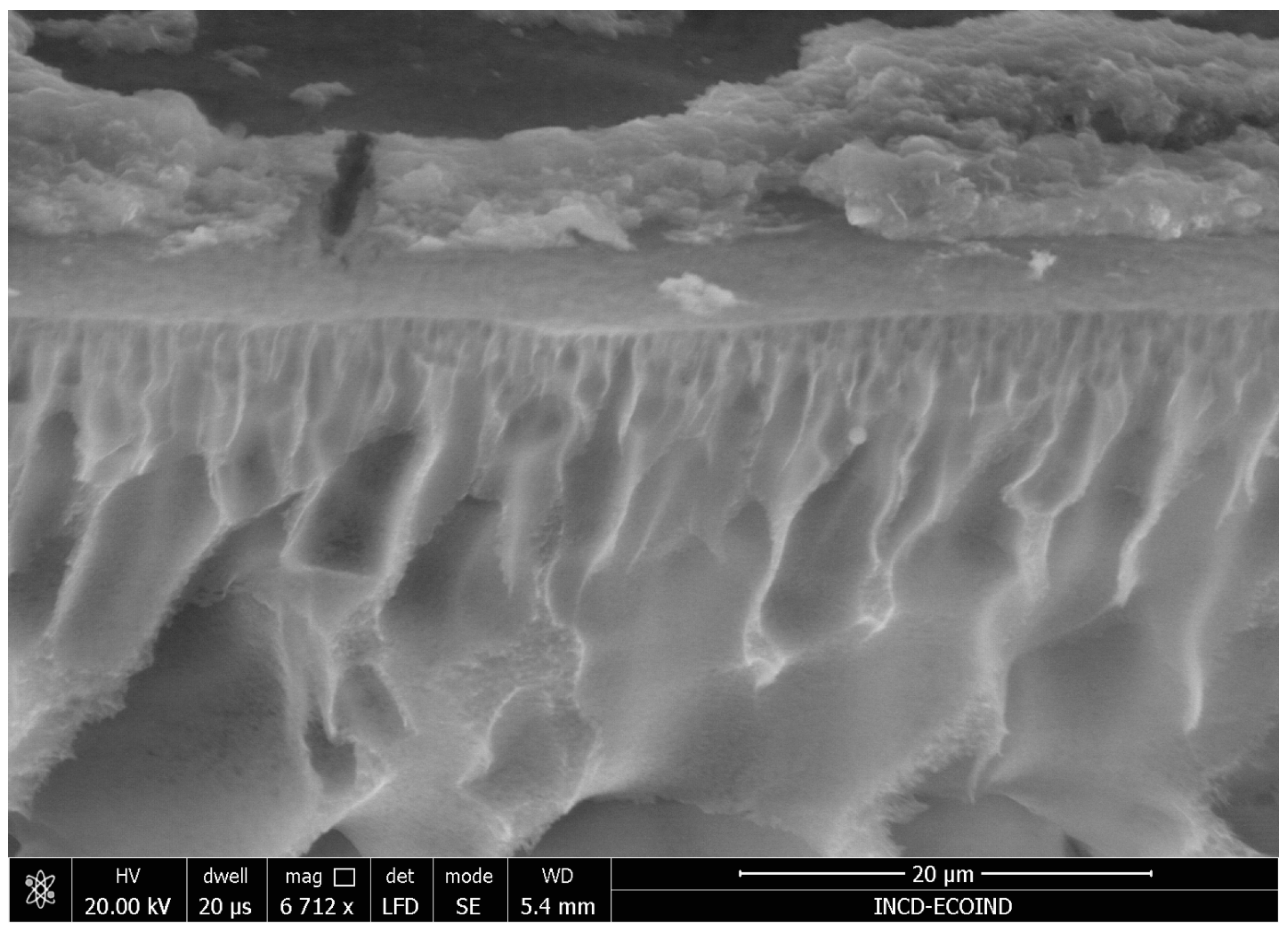 Processes 12 00617 g017