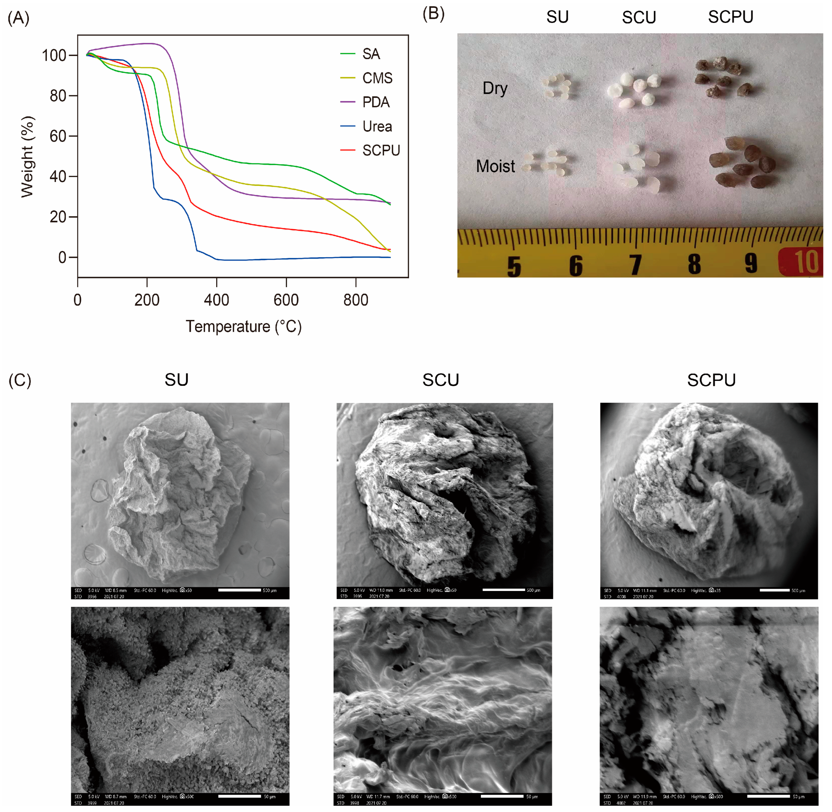 Processes 12 00842 g002