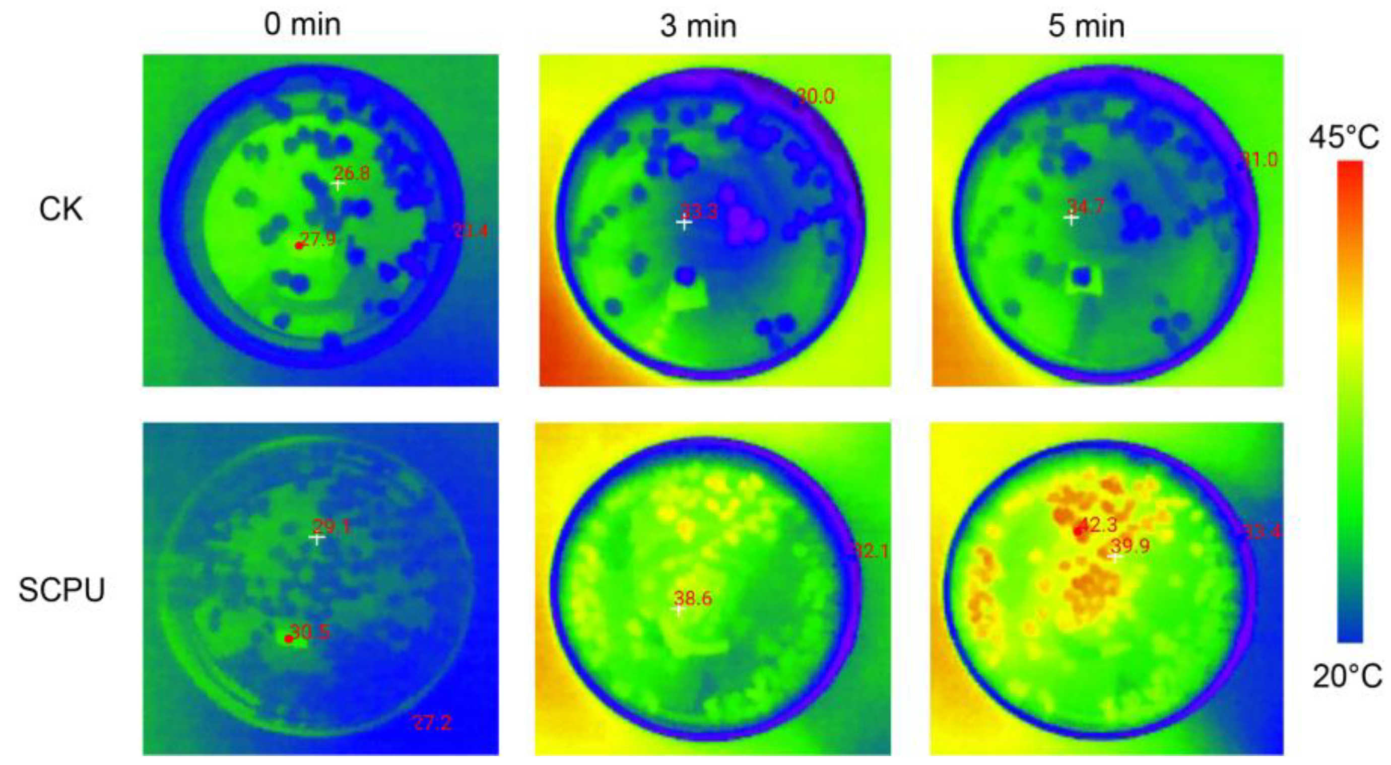 Processes 12 00842 g004