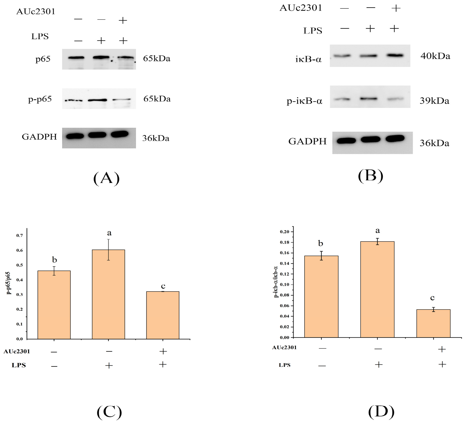 Processes 12 00903 g005
