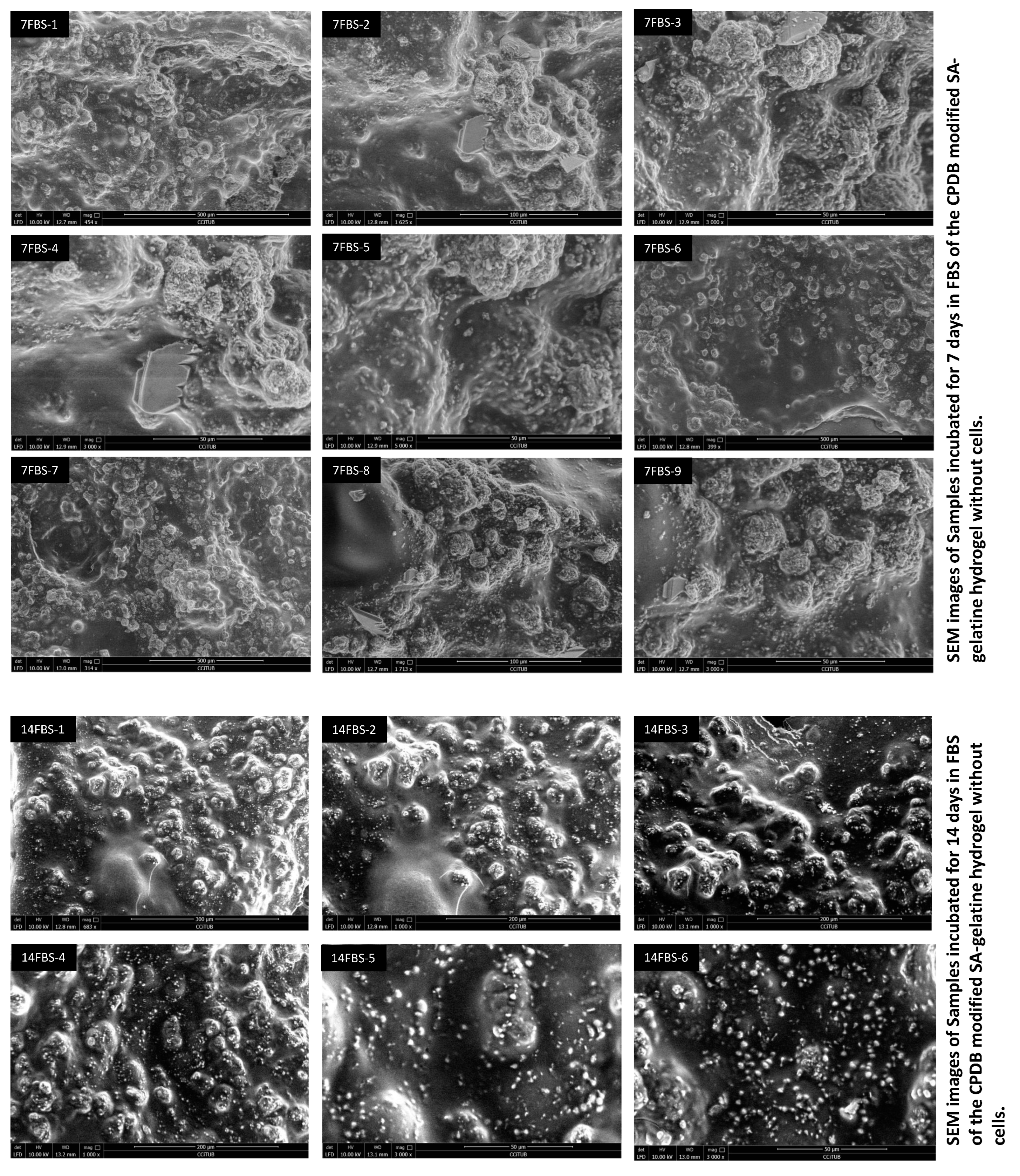 Processes 12 00944 g005