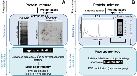 Comparative and Quantitative Global Proteomics Approaches: An Overview Comparative and Quantitative Global Proteomics Approaches: An Overview