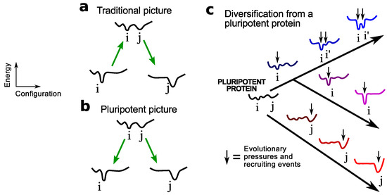 Origination of the Protein Fold Repertoire from Oily Pluripotent Peptides Origination of the Protein Fold Repertoire from Oily Pluripotent Peptides