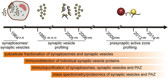 The Proteome of the Murine Presynaptic Active Zone The Proteome of the Murine Presynaptic Active Zone