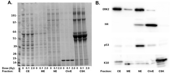 Quantitative Proteomic Profiling of Low-Dose Ionizing Radiation Effects in a Human Skin Model Quantitative Proteomic Profiling of Low-Dose Ionizing Radiation Effects in a Human Skin Model