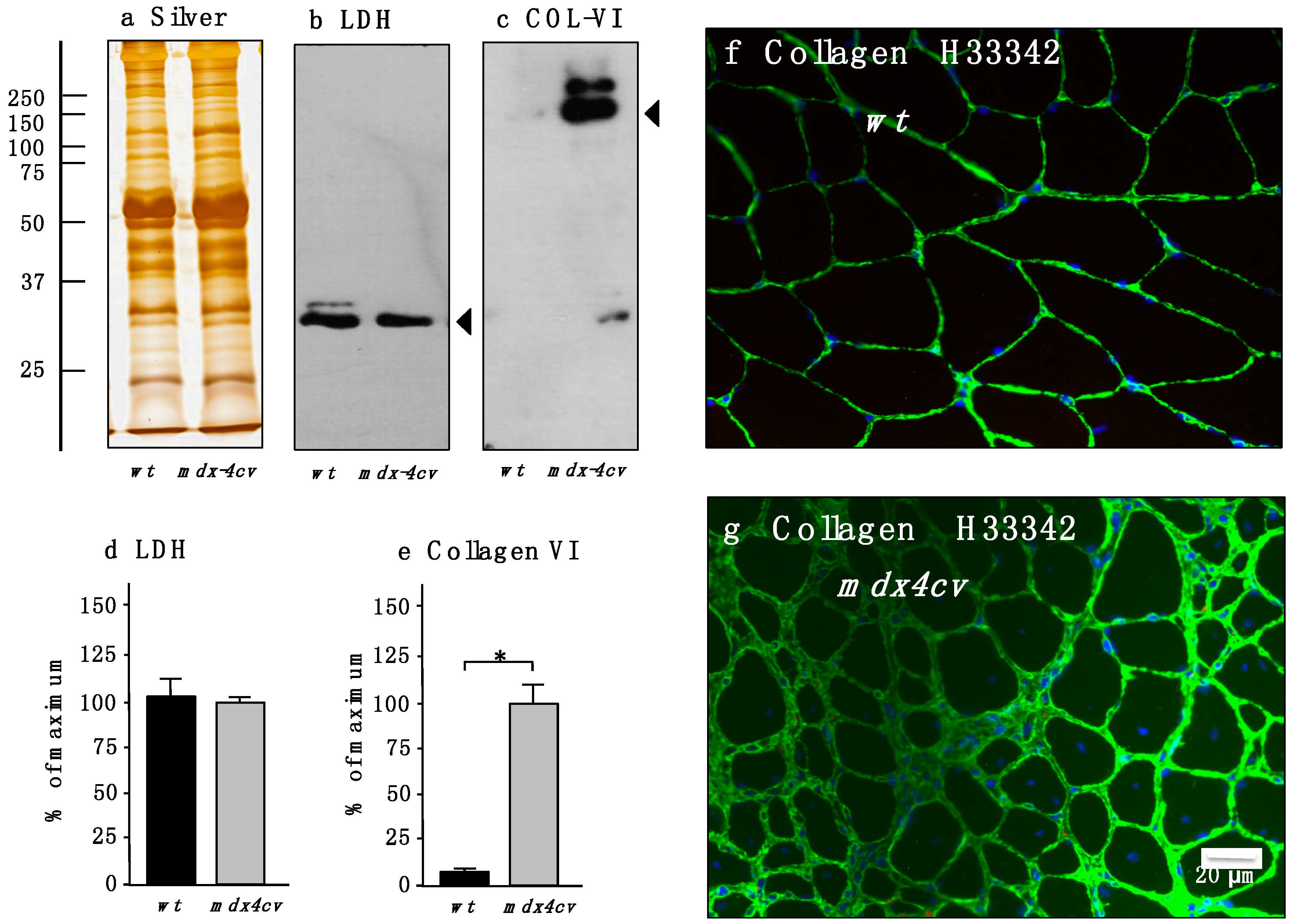 Proteomes 03 00298 g004