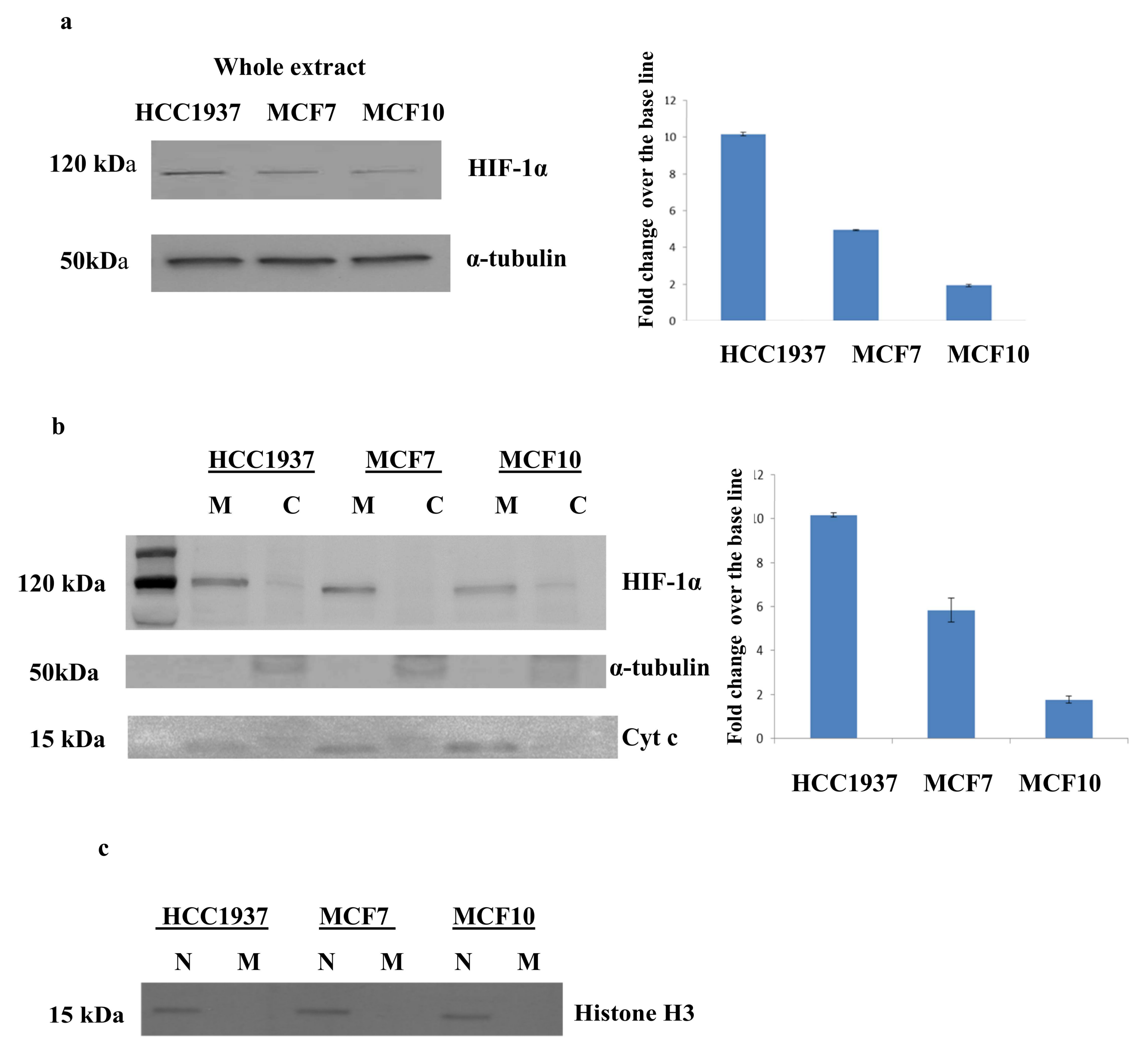 Proteomes 06 00016 g006