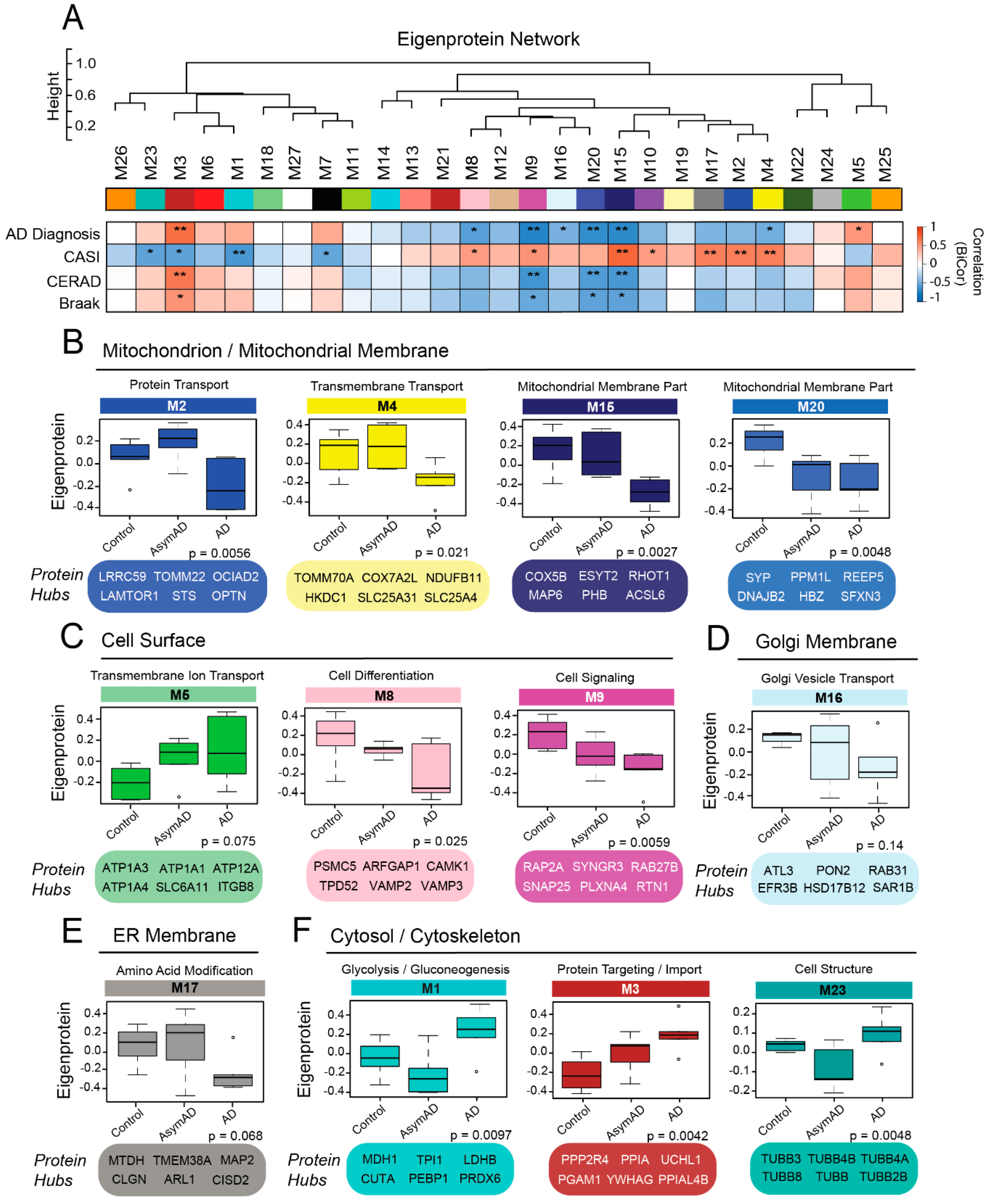 Proteomes 07 00030 g005