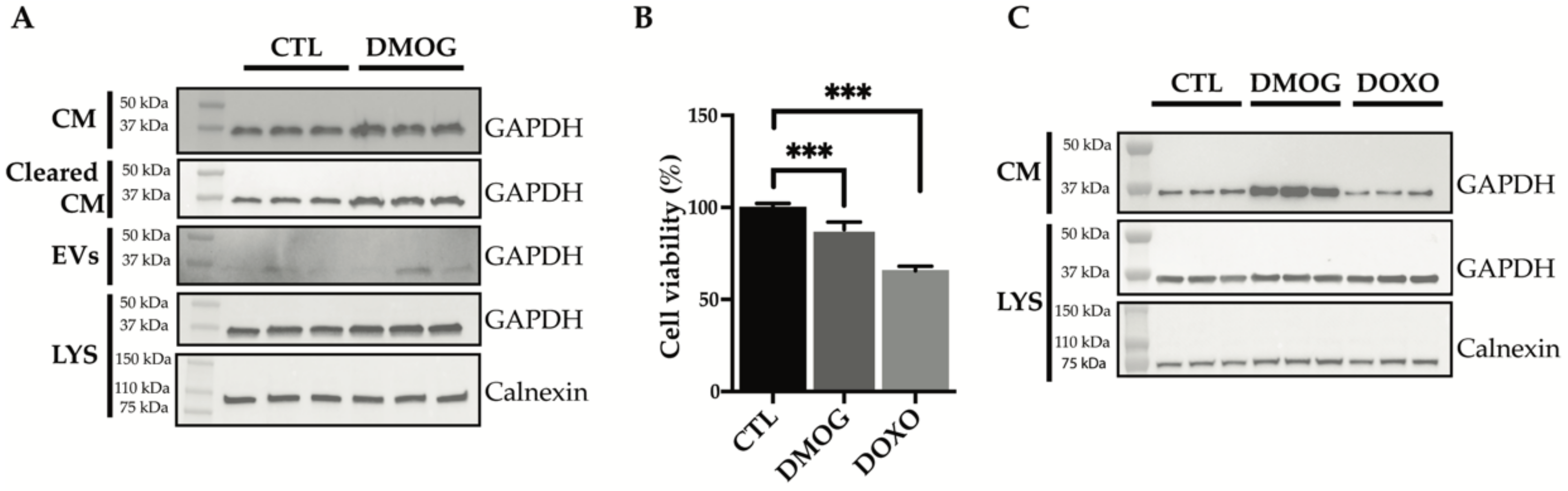 Proteomes 10 00025 g003