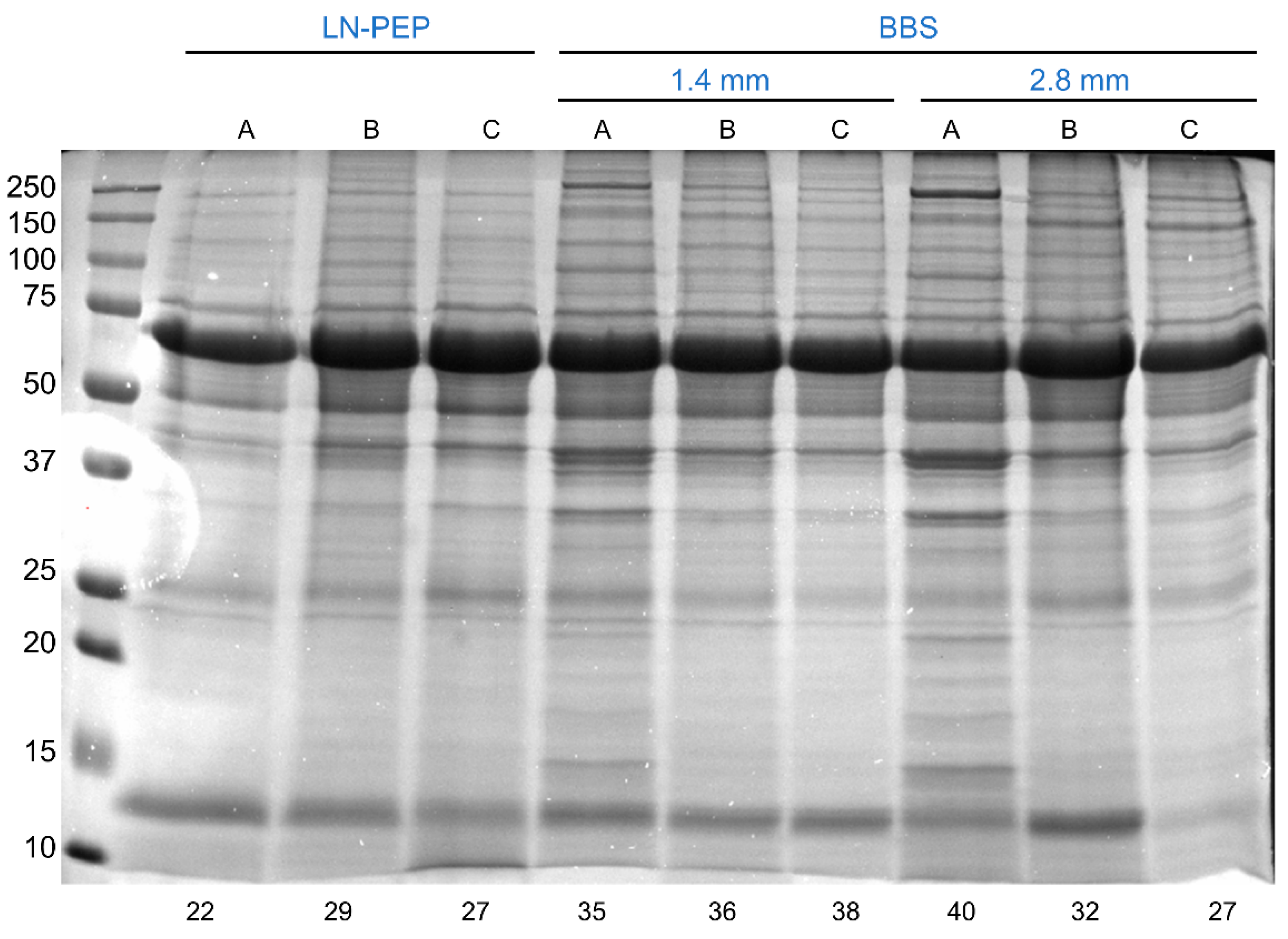 Proteomes 10 00030 g001