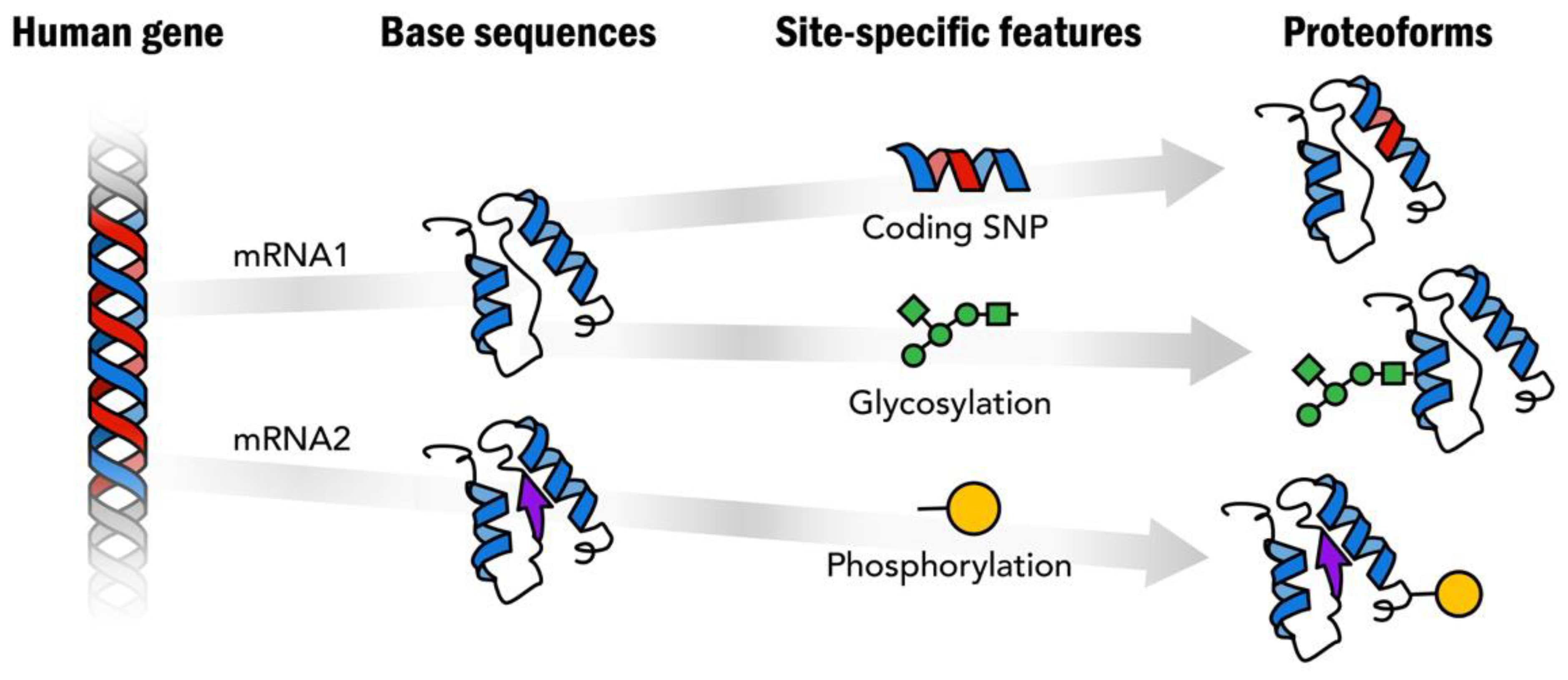Proteomes 12 00015 g001