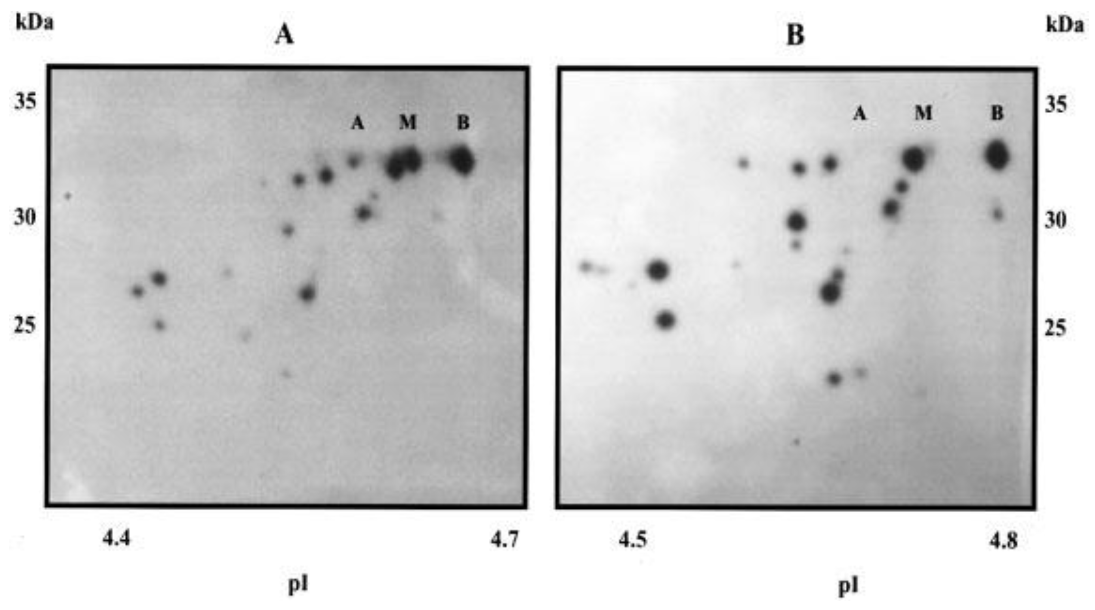 Proteomes 12 00015 g003