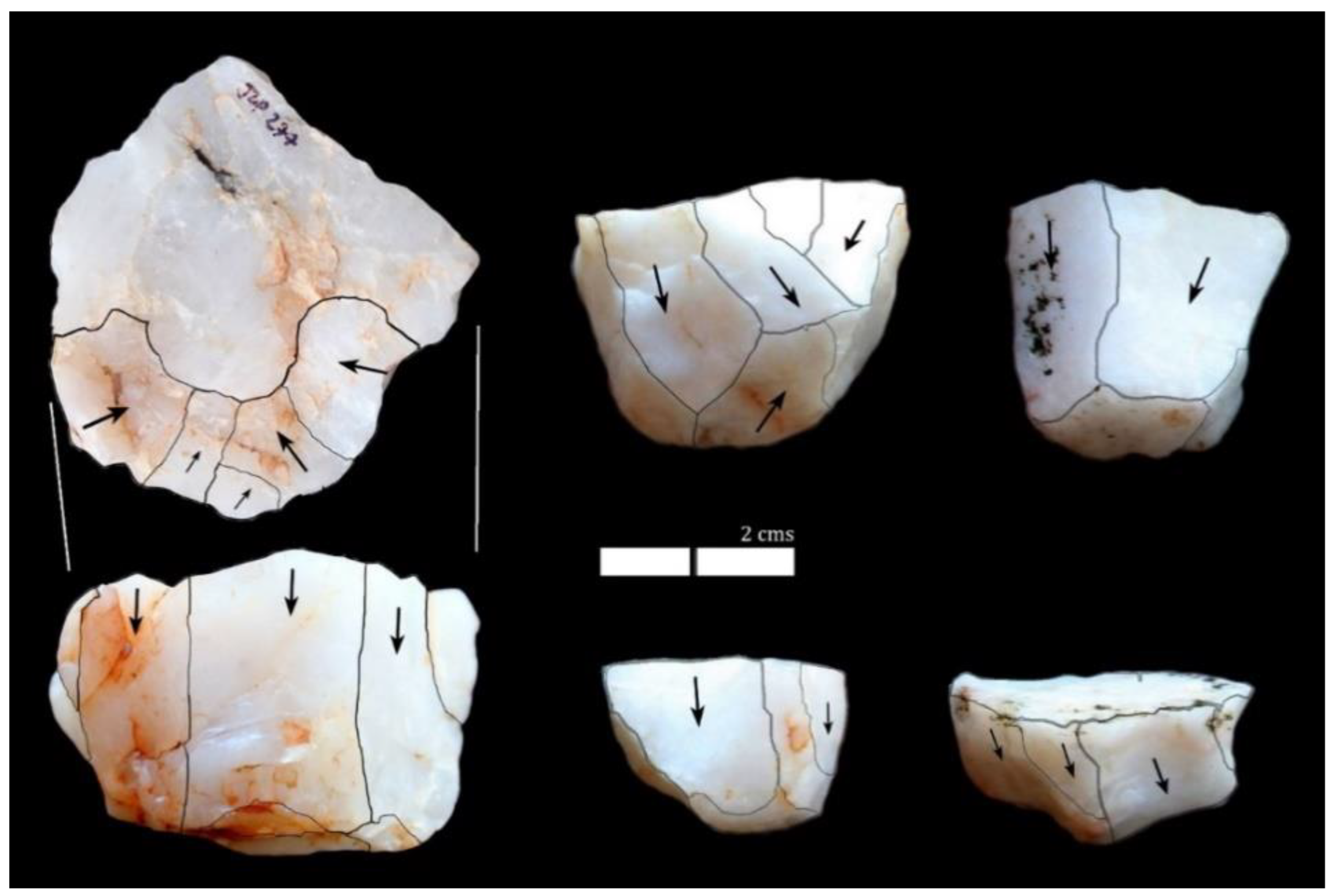 Quaternary 06 00025 g006 Quaternary 06 00025 g006