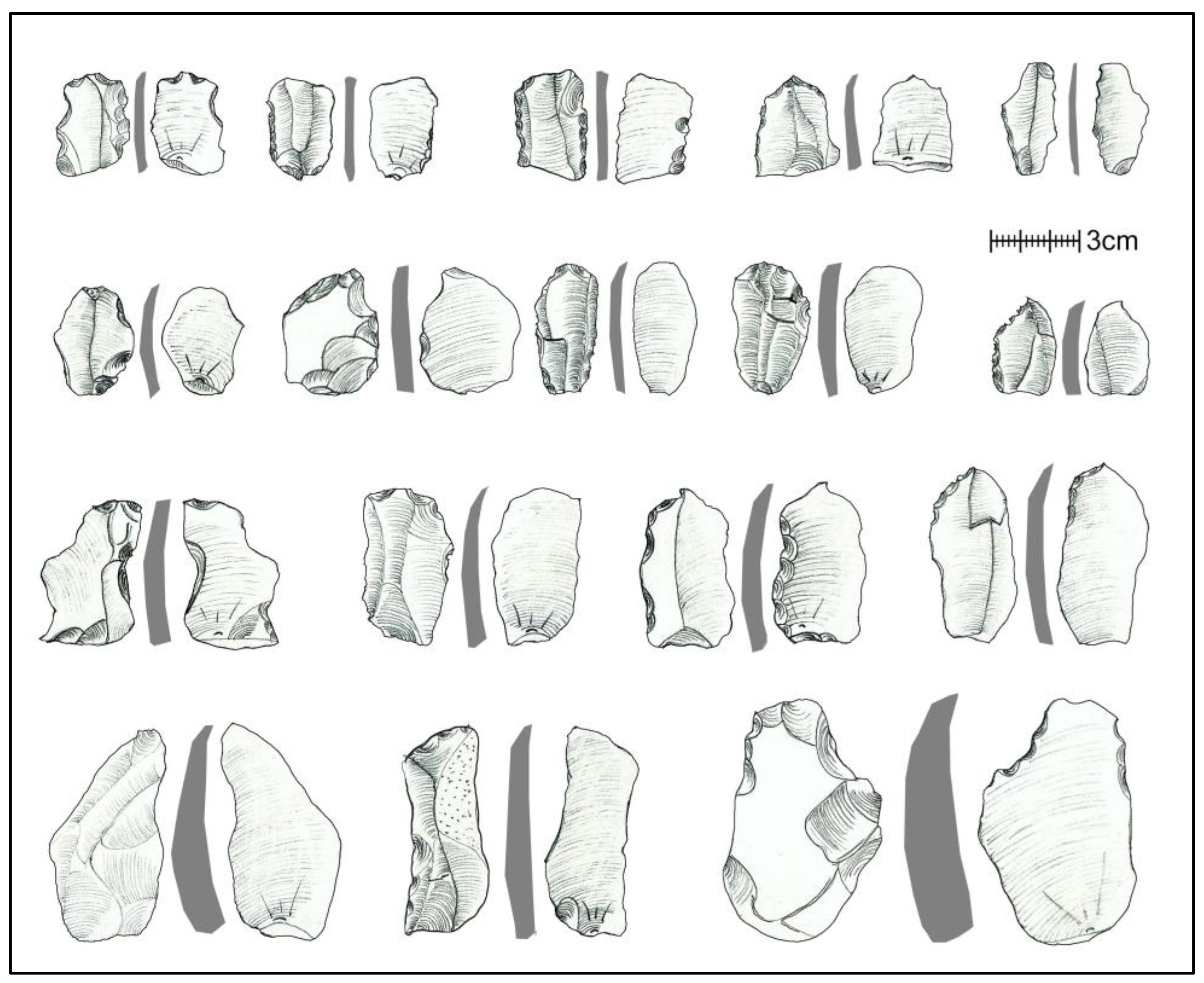 Quaternary 06 00025 g007 Quaternary 06 00025 g007