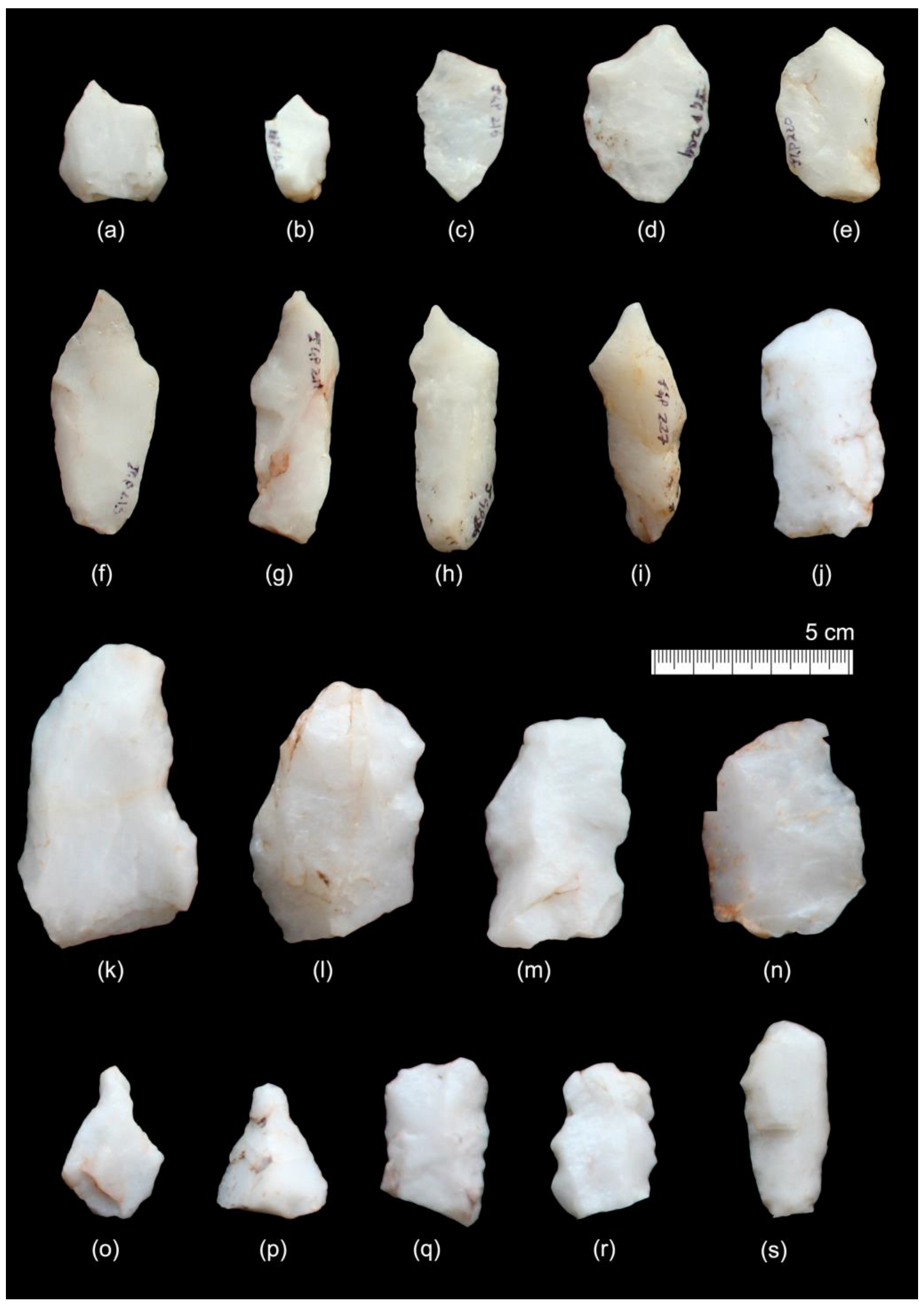 Quaternary 06 00025 g008 Quaternary 06 00025 g008
