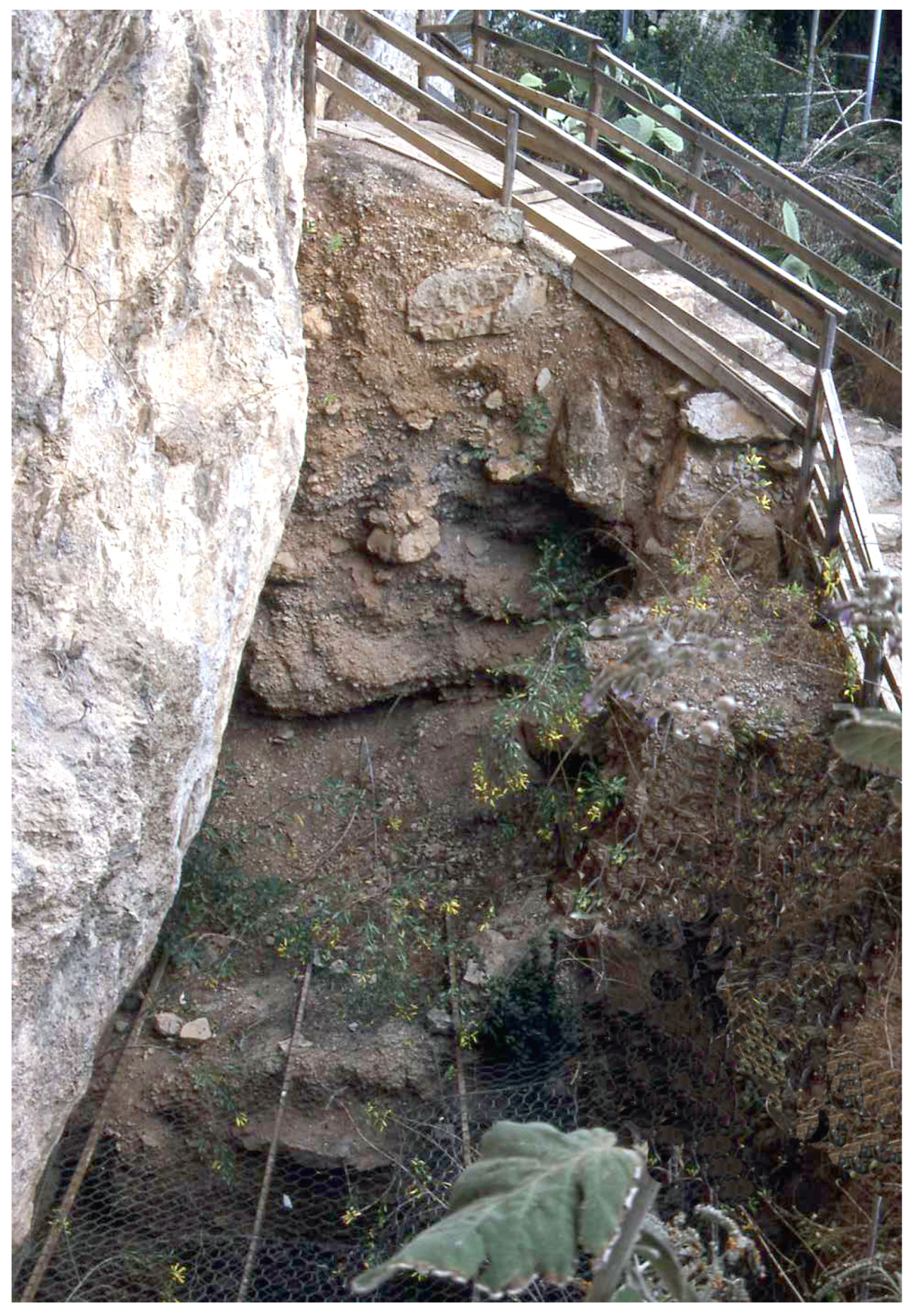 Quaternary 07 00002 g003 Quaternary 07 00002 g003