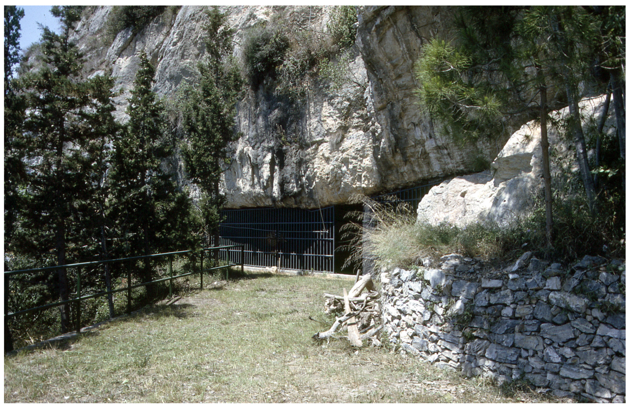 Quaternary 07 00002 g004 Quaternary 07 00002 g004