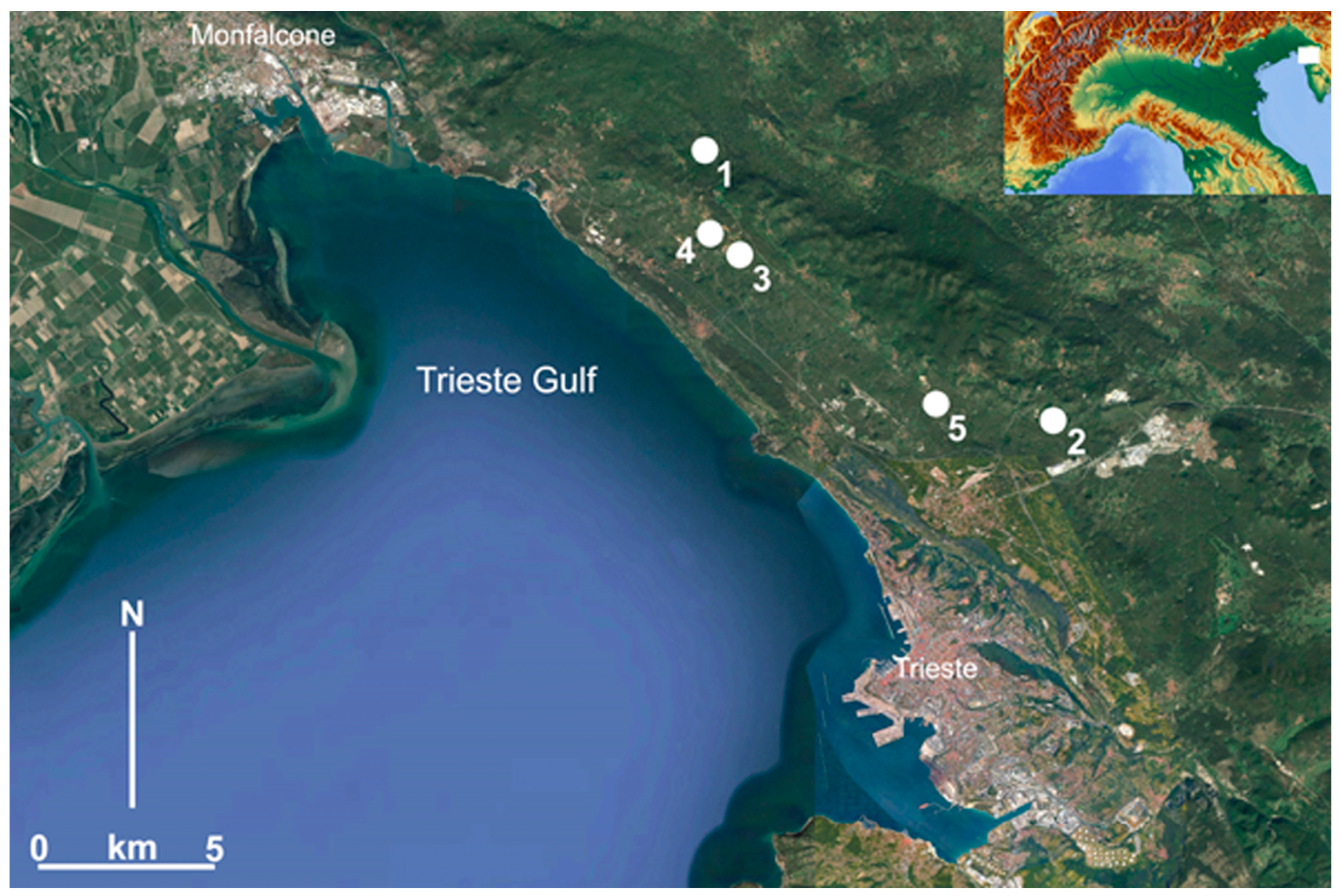 Quaternary 07 00002 g010a Quaternary 07 00002 g010a