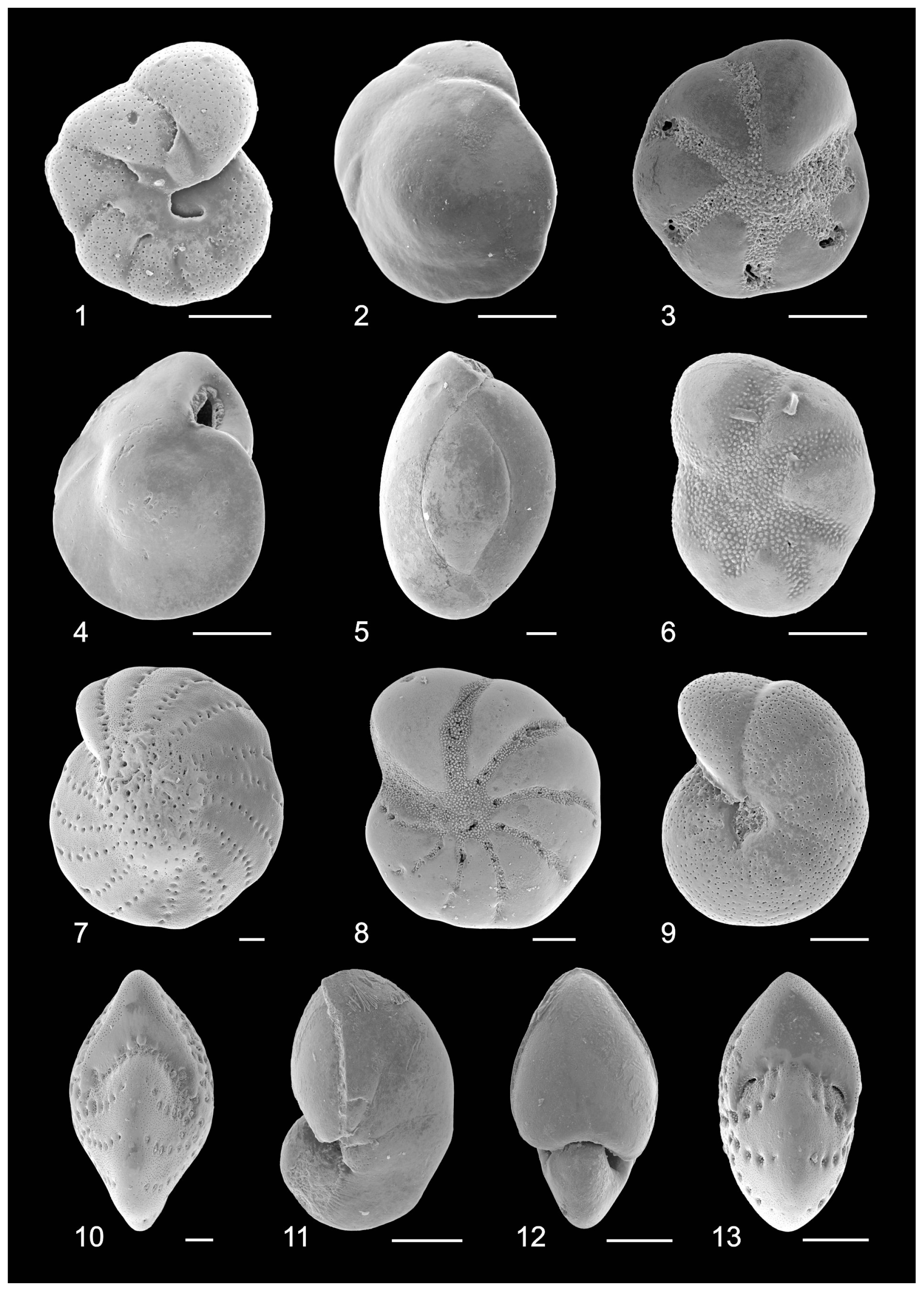 Quaternary 07 00003 g005