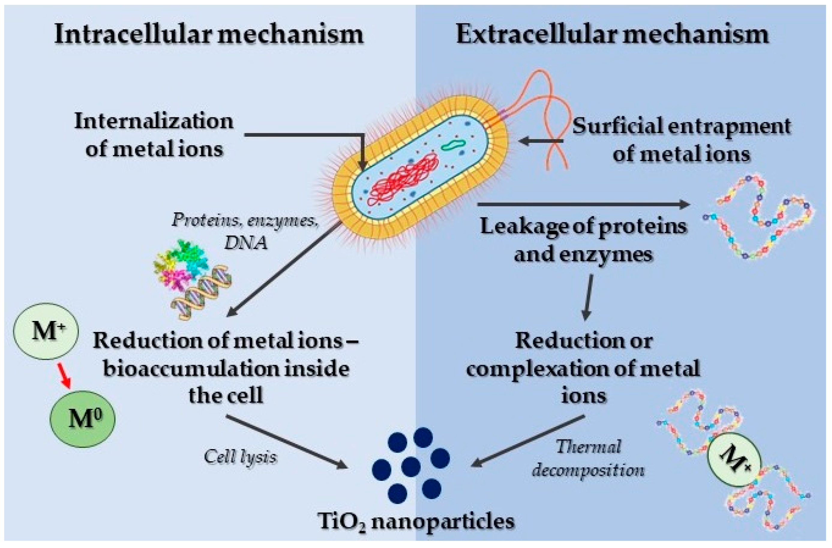 Reactions 05 00007 g005 Reactions 05 00007 g005