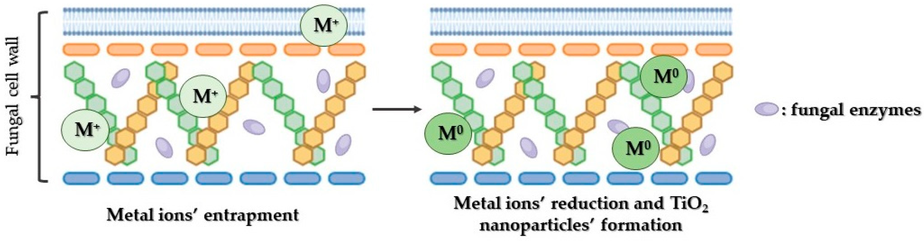Reactions 05 00007 g006 Reactions 05 00007 g006