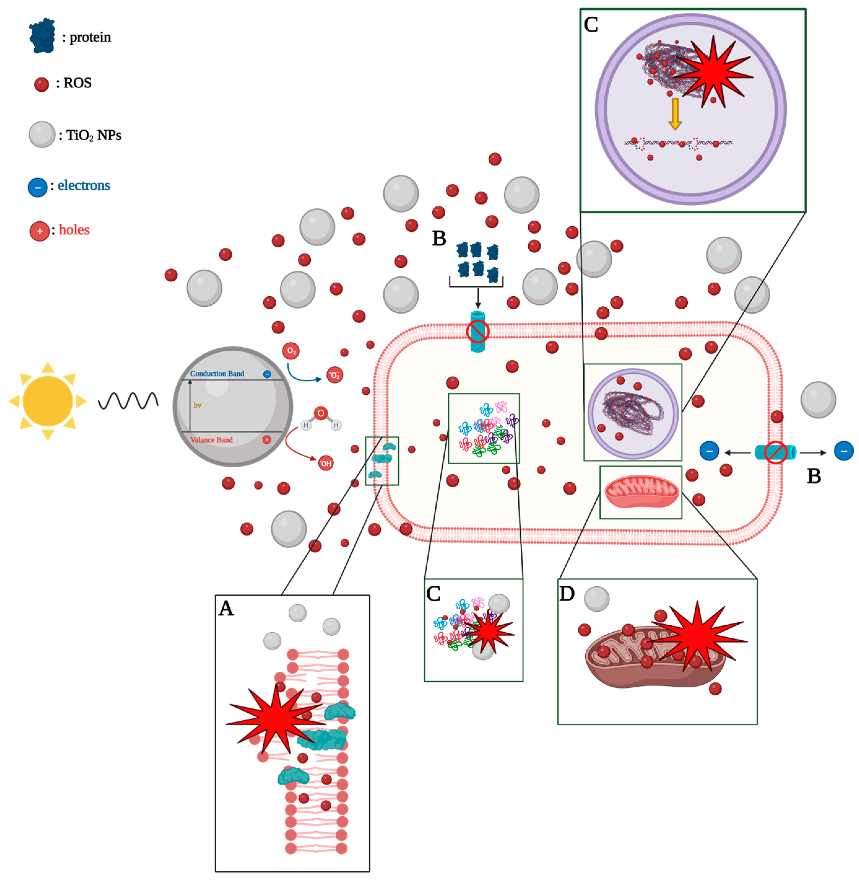 Reactions 05 00007 g012 Reactions 05 00007 g012
