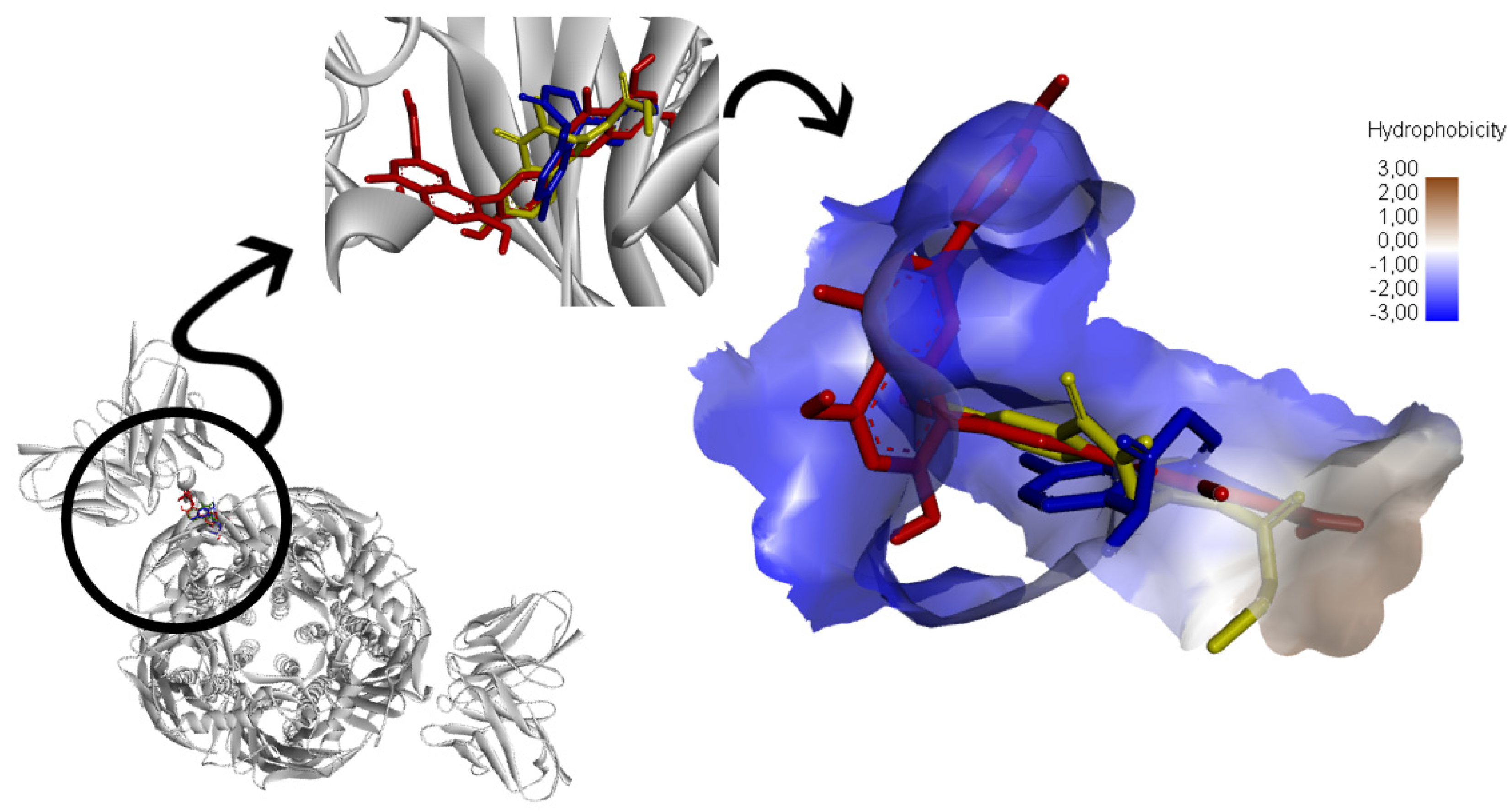 Receptors 03 00011 g012