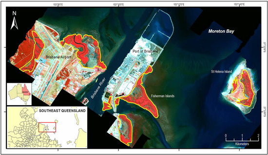 Hyperspectral Data for Mangrove Species Mapping: A Comparison of Pixel-Based and Object-Based Approach Hyperspectral Data for Mangrove Species Mapping: A Comparison of Pixel-Based and Object-Based Approach