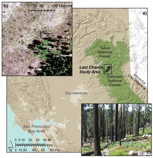 Object-Based Image Analysis of Downed Logs in Disturbed Forested Landscapes Using Lidar Object-Based Image Analysis of Downed Logs in Disturbed Forested Landscapes Using Lidar