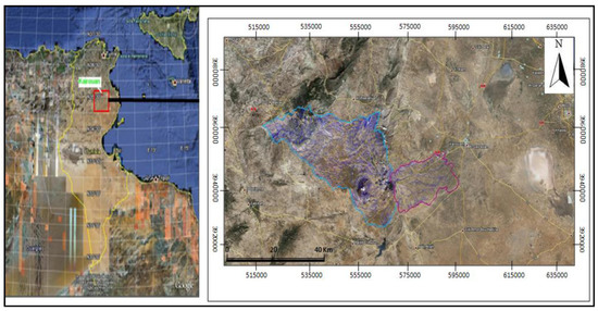 Analysis of Vegetation Behavior in a North African Semi-Arid Region, Using SPOT-VEGETATION NDVI Data Analysis of Vegetation Behavior in a North African Semi-Arid Region, Using SPOT-VEGETATION NDVI Data