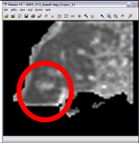 Remotesensing 03 02605 i061