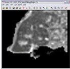 Remotesensing 03 02605 i063