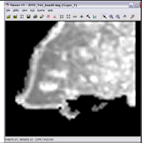 Remotesensing 03 02605 i099