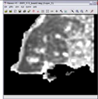 Remotesensing 03 02605 i107